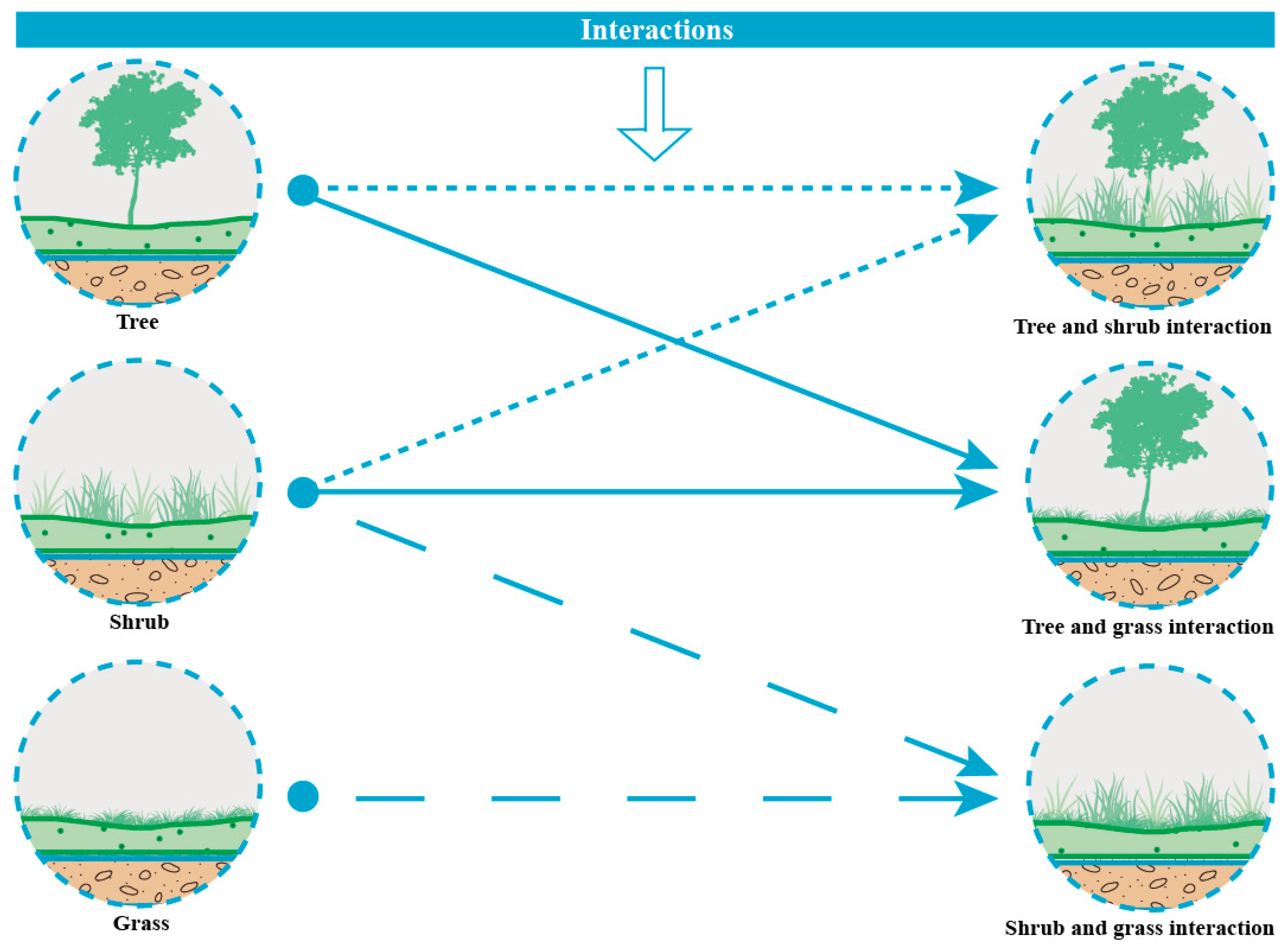 Sustainability 16 04425 g002