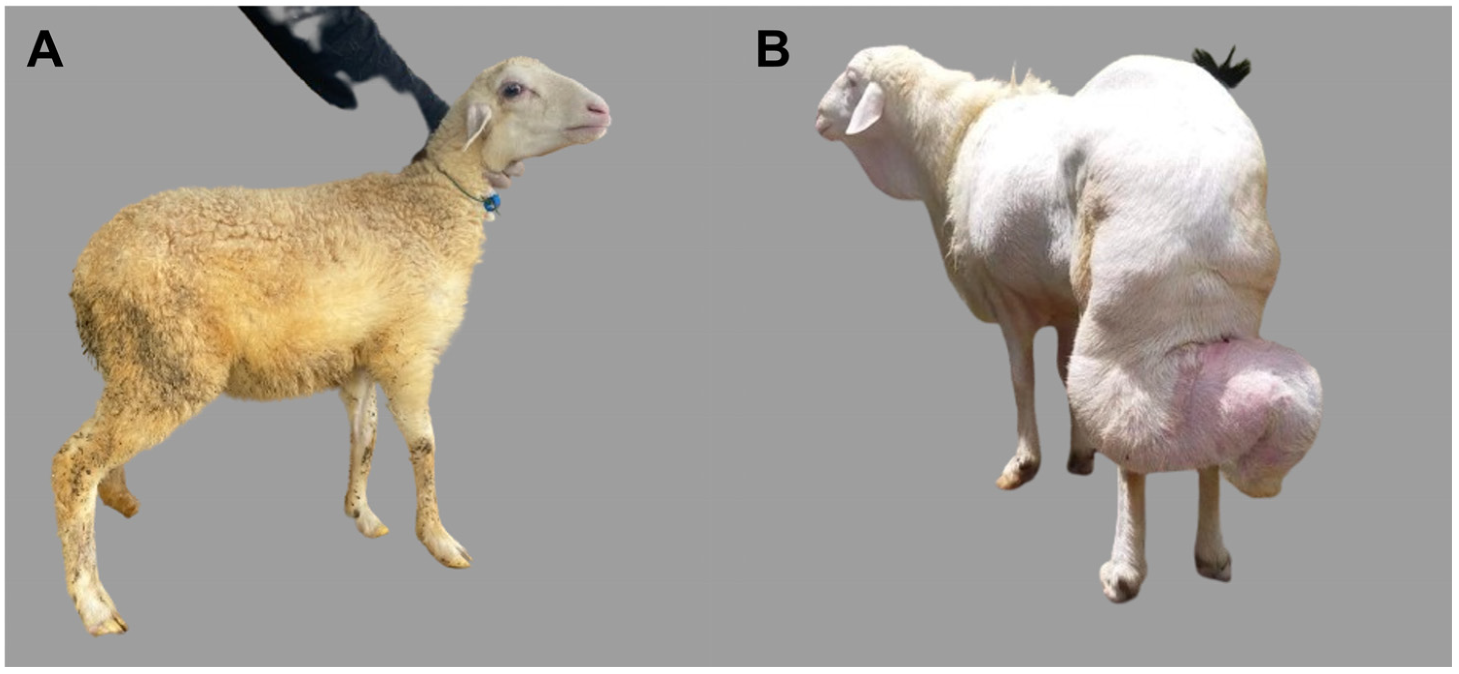 Sustainability 16 04448 g002