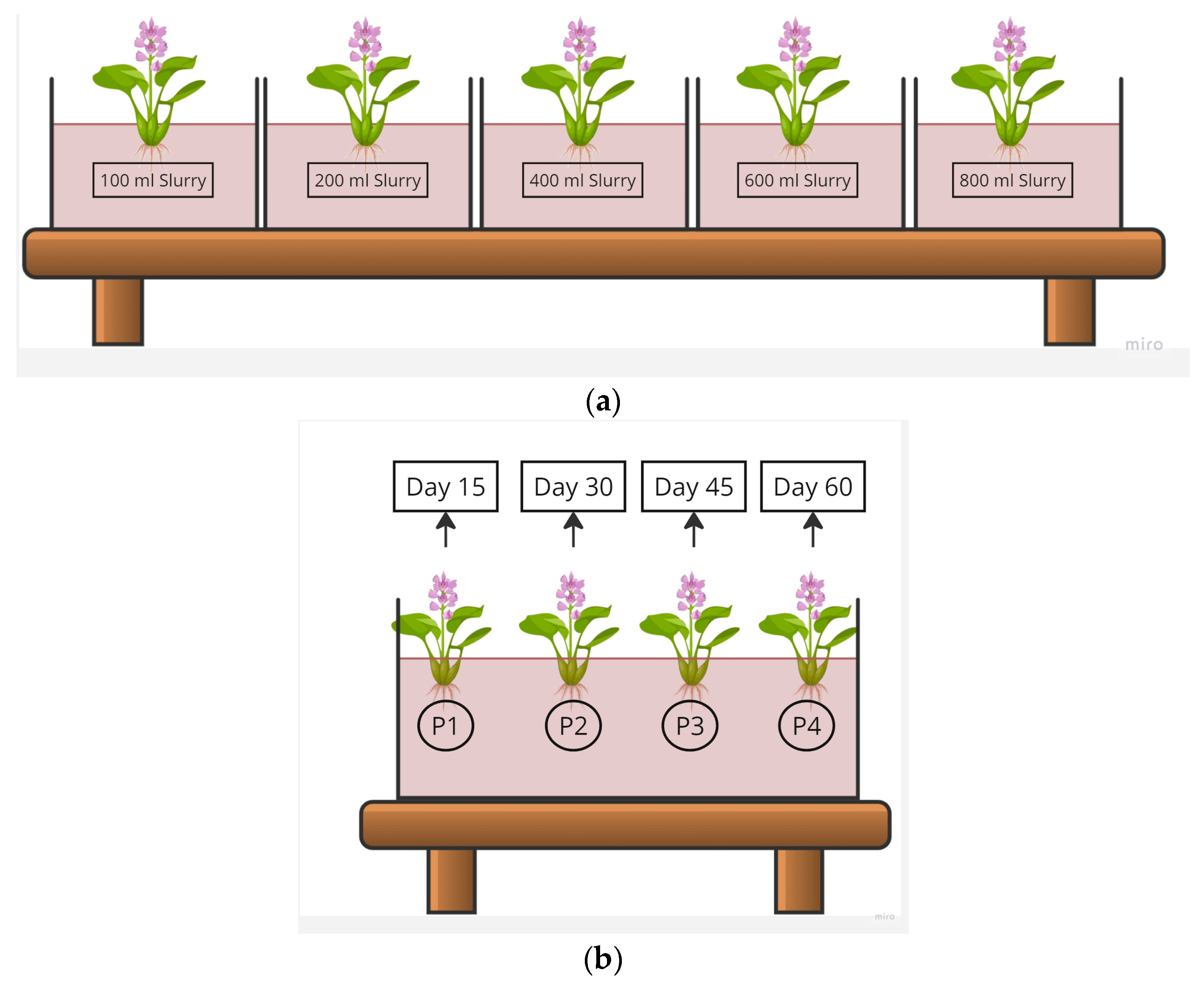 Sustainability 16 04450 g002