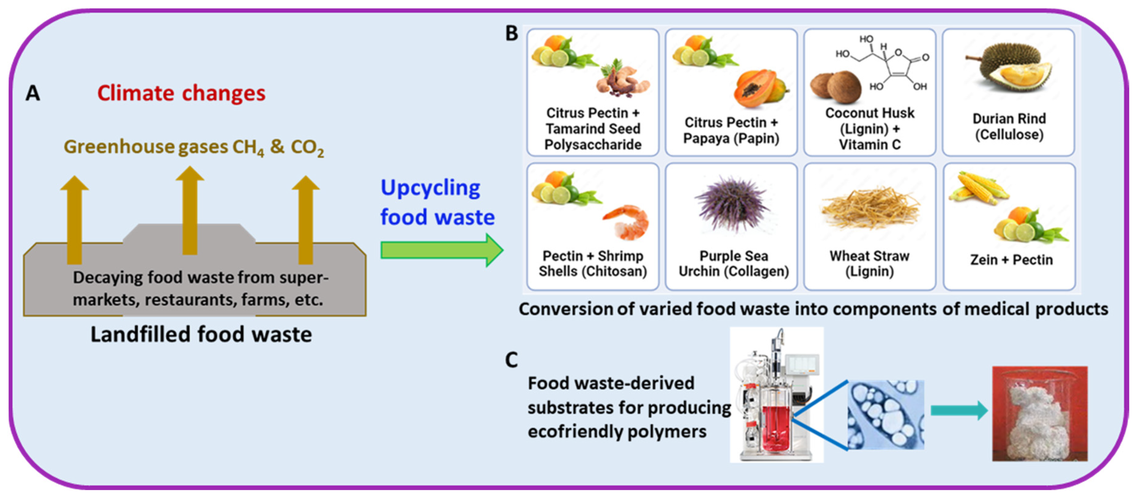 Sustainability 16 04473 g001