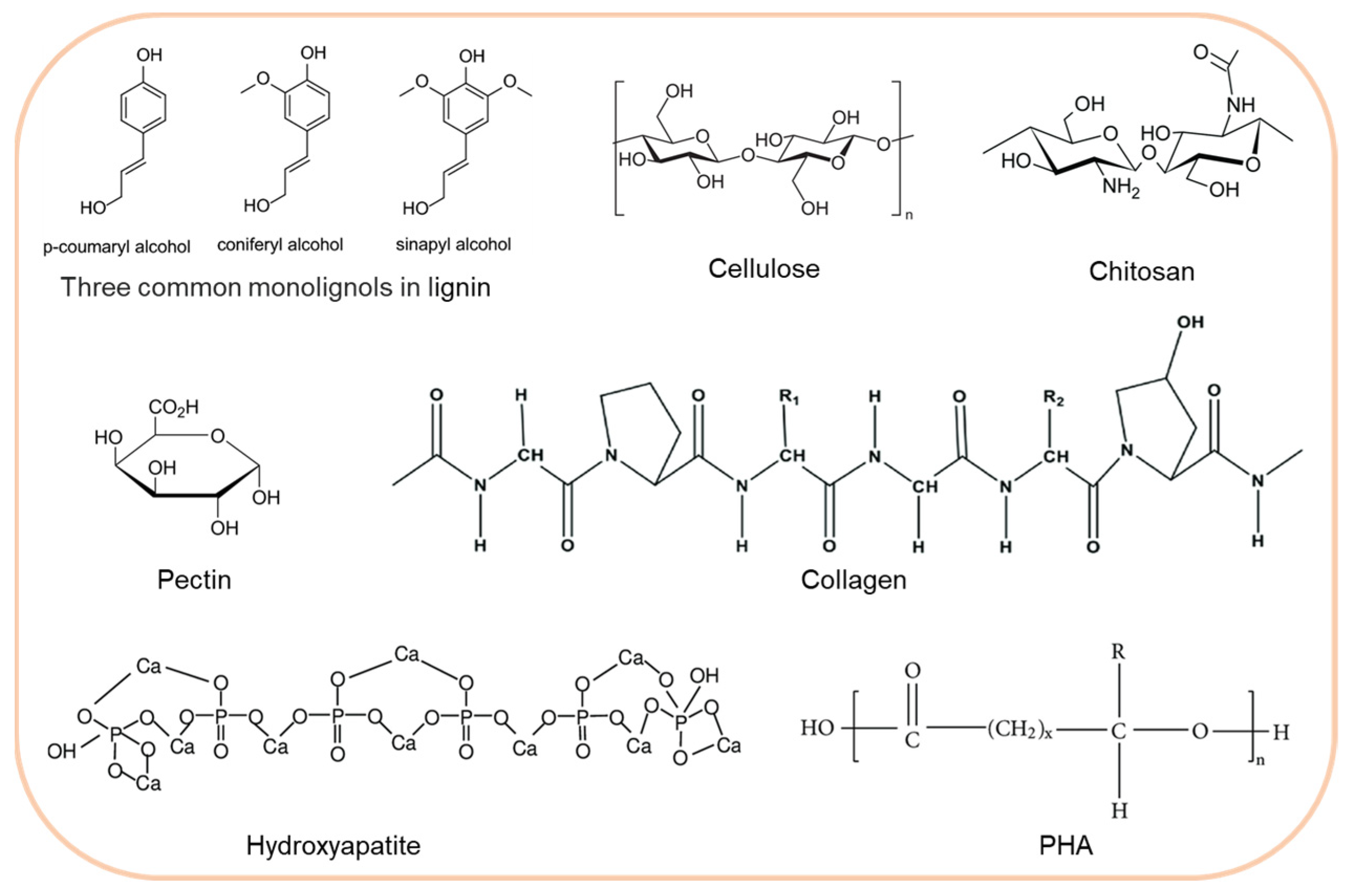 Sustainability 16 04473 g002