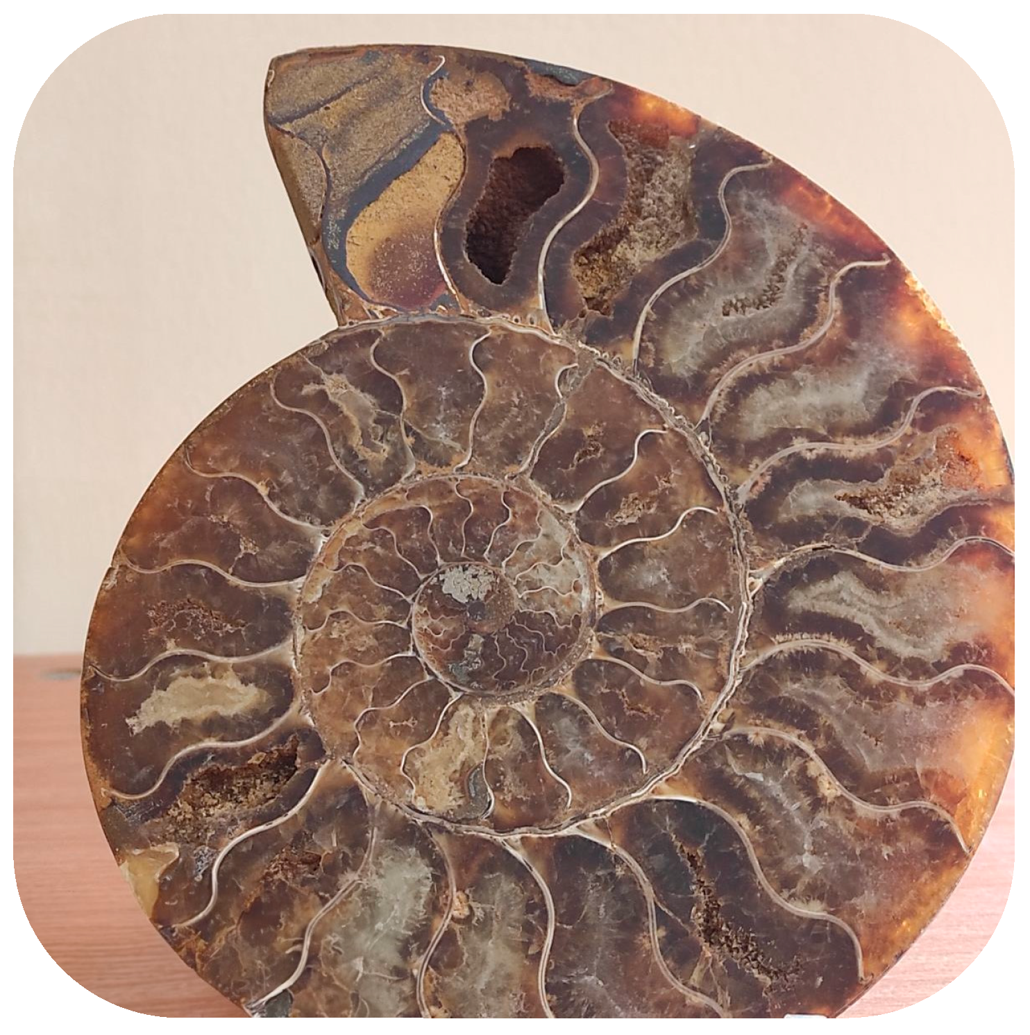 Sustainability 16 04481 g002