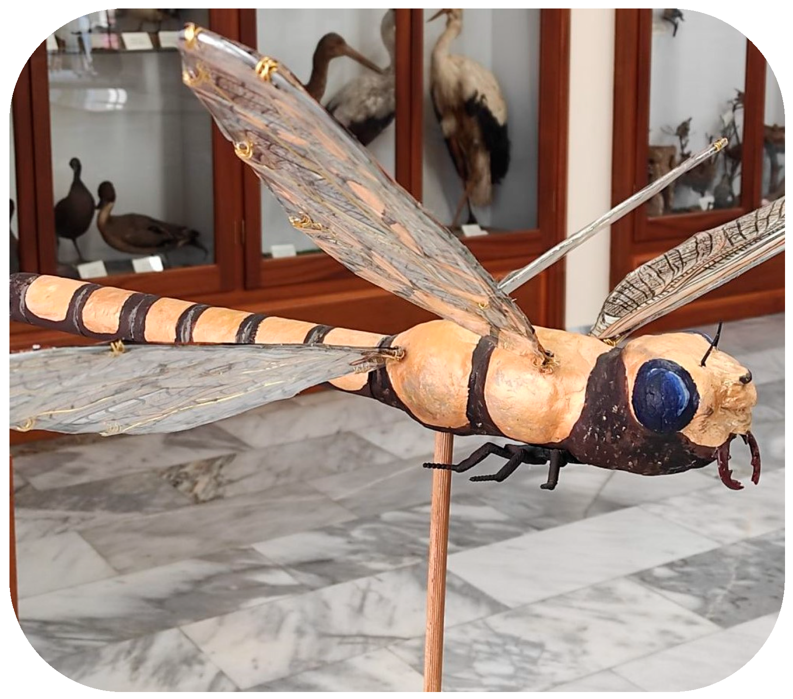 Sustainability 16 04481 g003