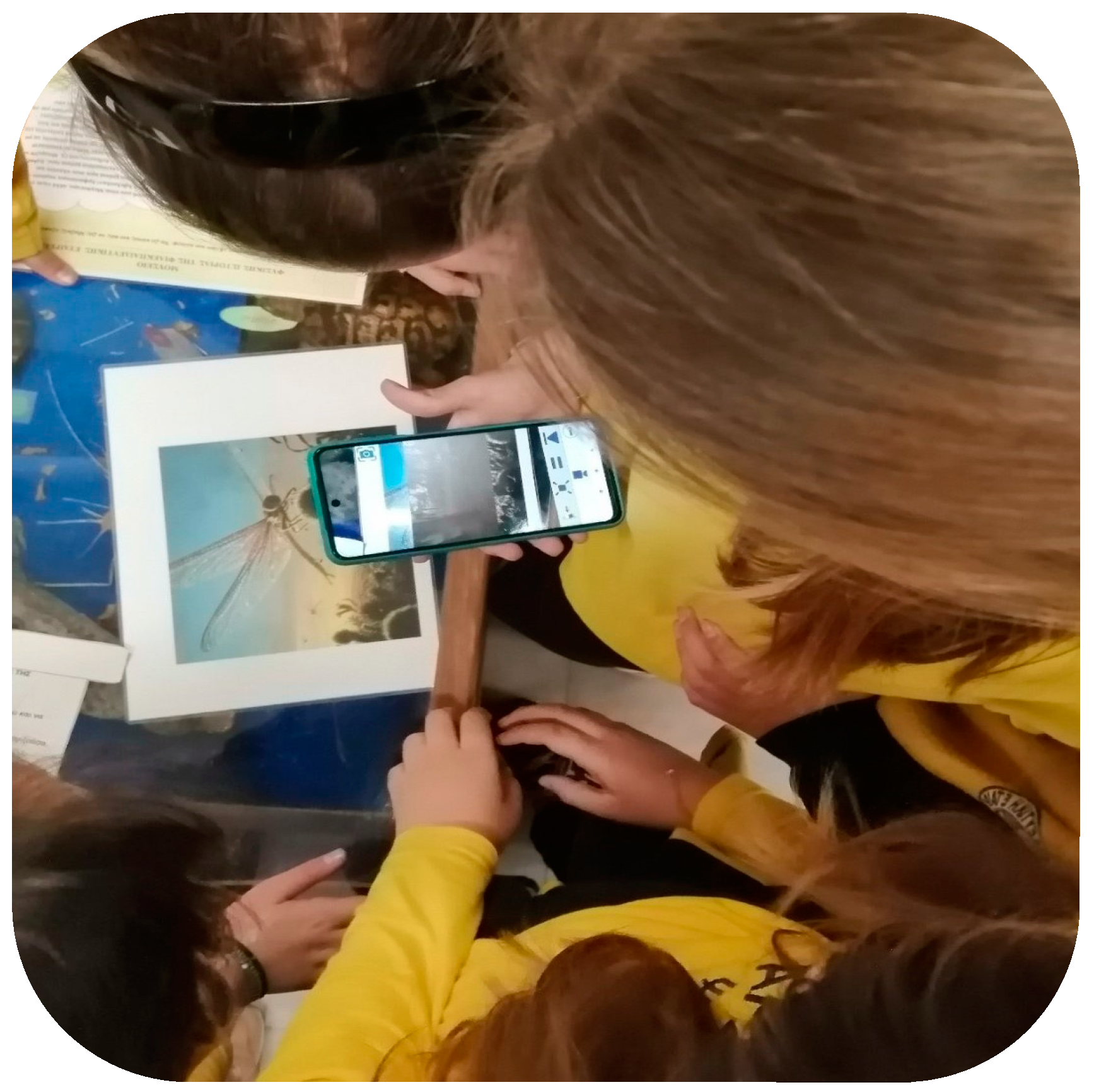 Sustainability 16 04481 g006