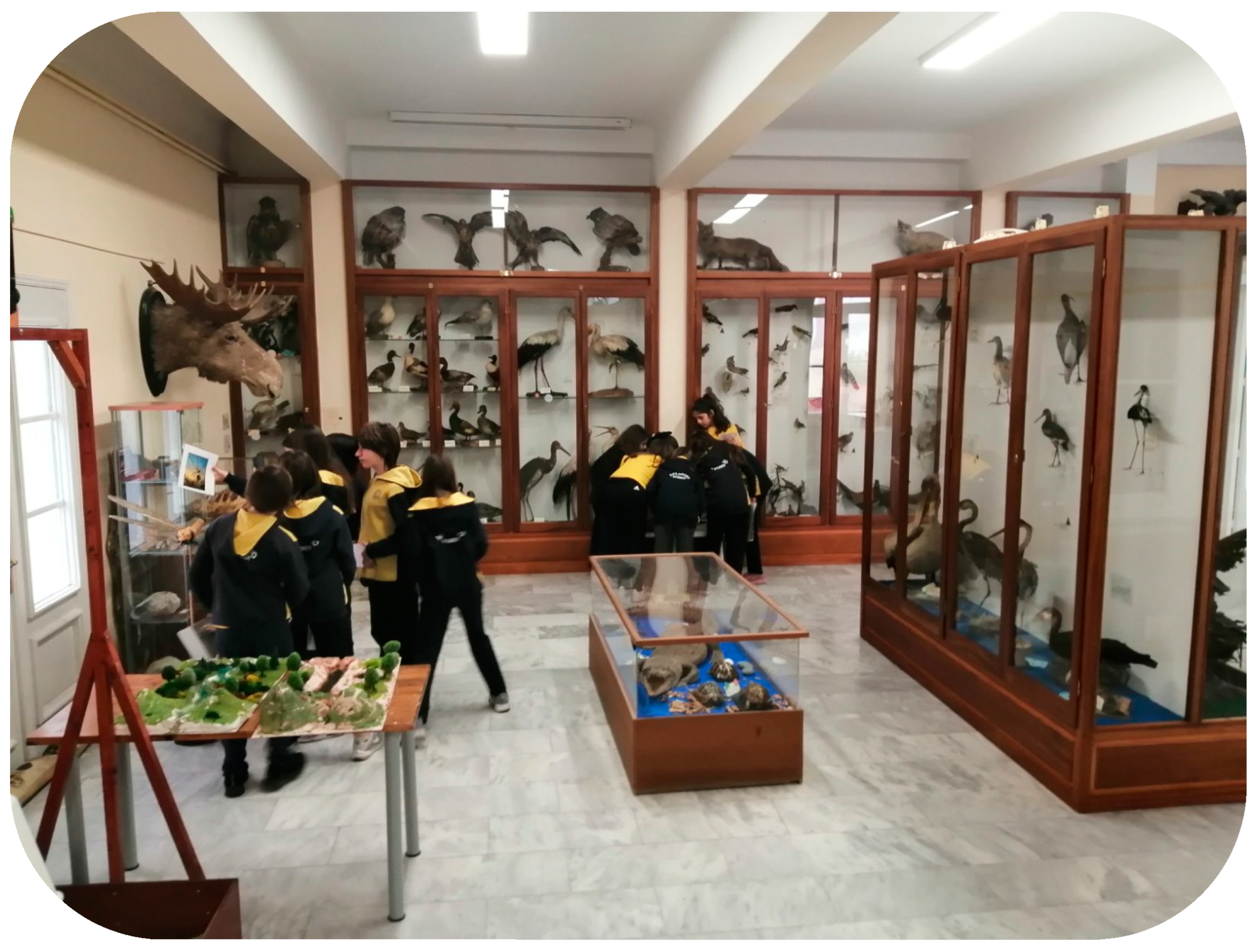 Sustainability 16 04481 g013