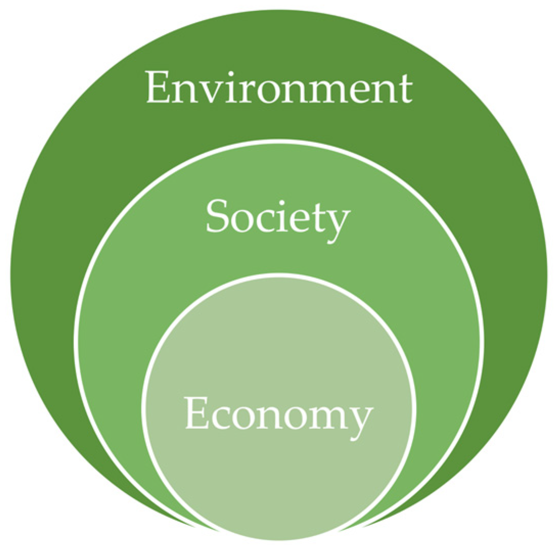 Sustainability 16 04517 g001