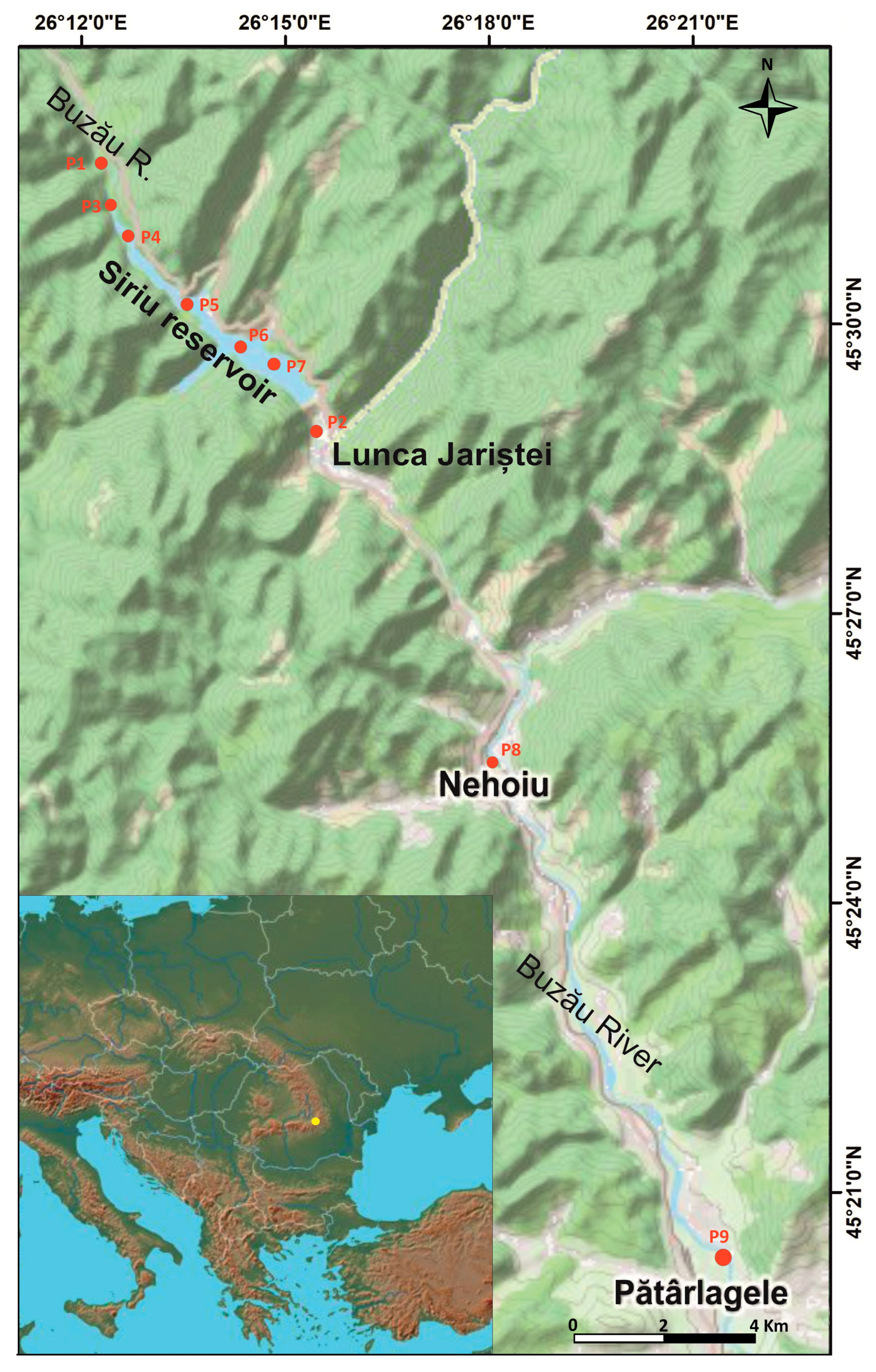 Sustainability 16 04541 g001