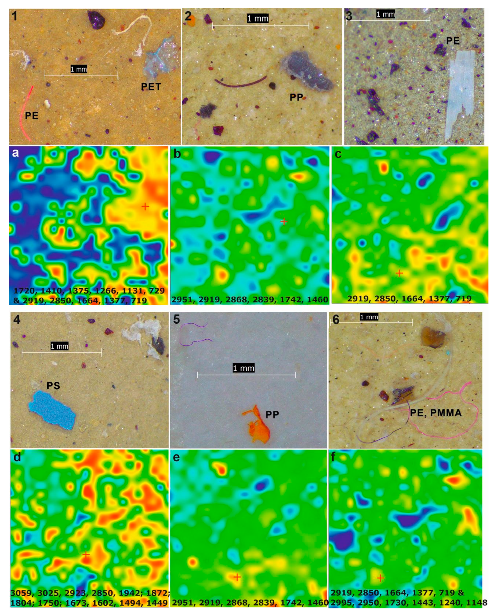 Sustainability 16 04541 g006