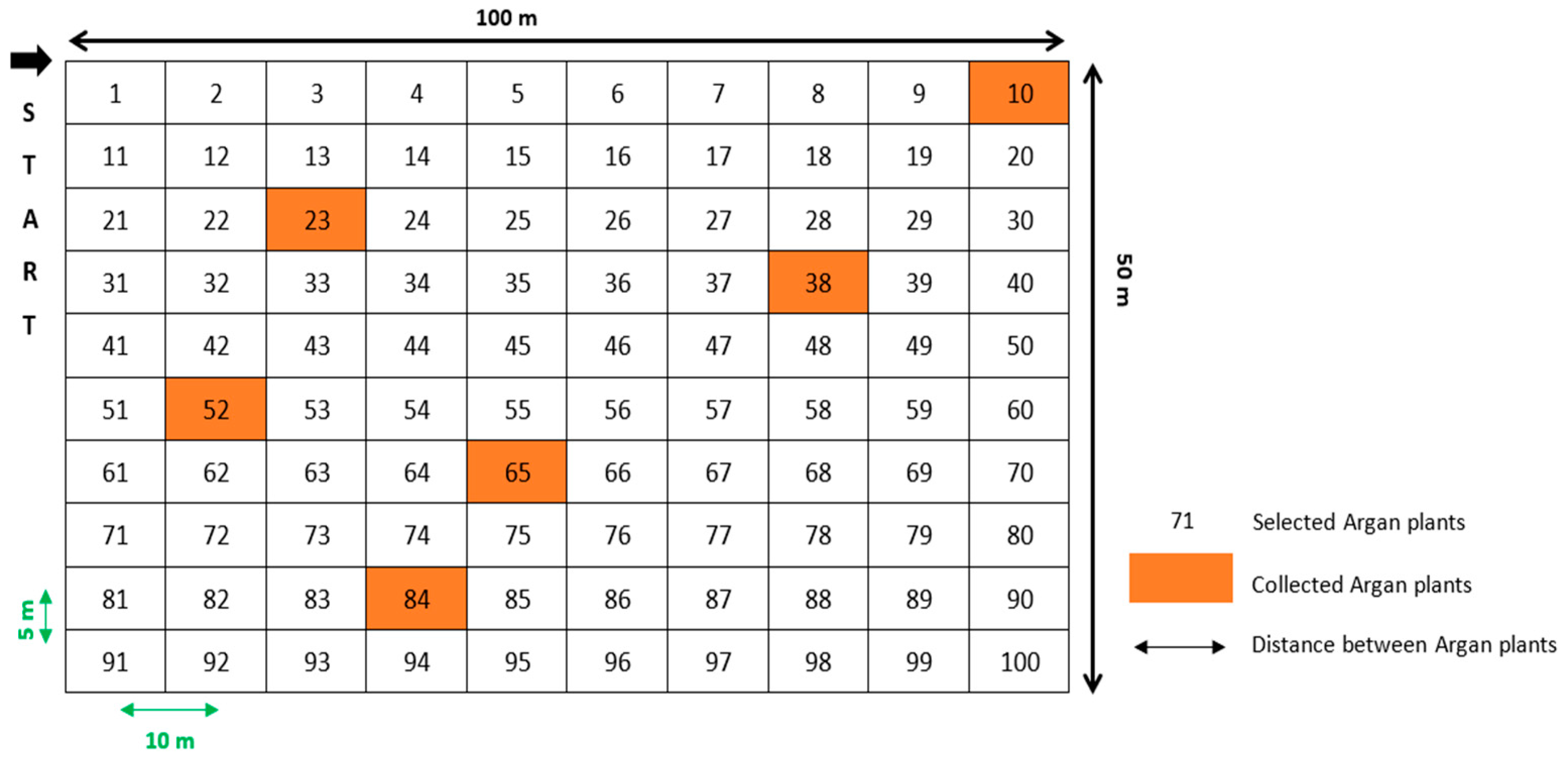 Sustainability 16 04592 g002 Sustainability 16 04592 g002