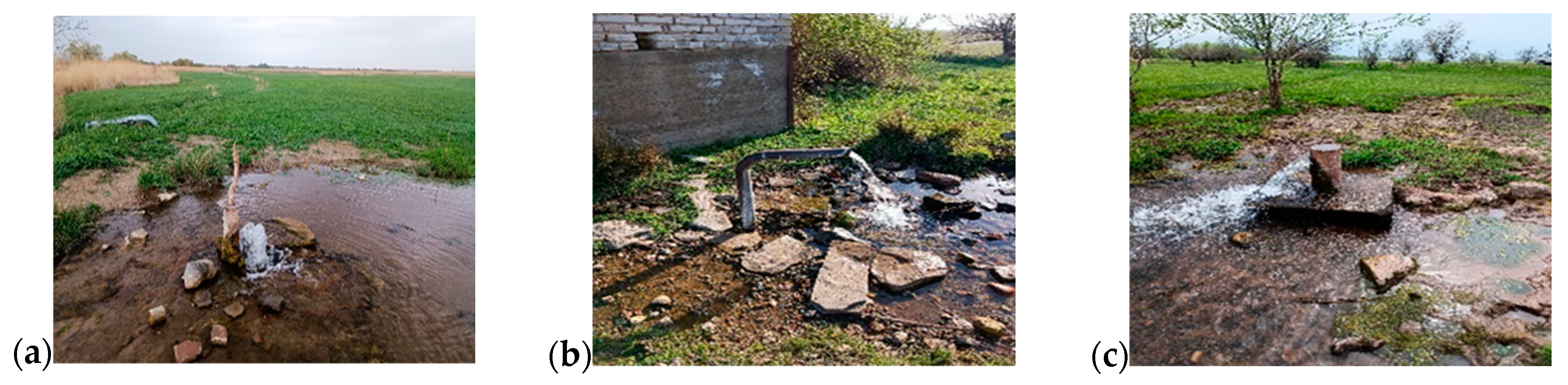 Sustainability 16 04597 g003