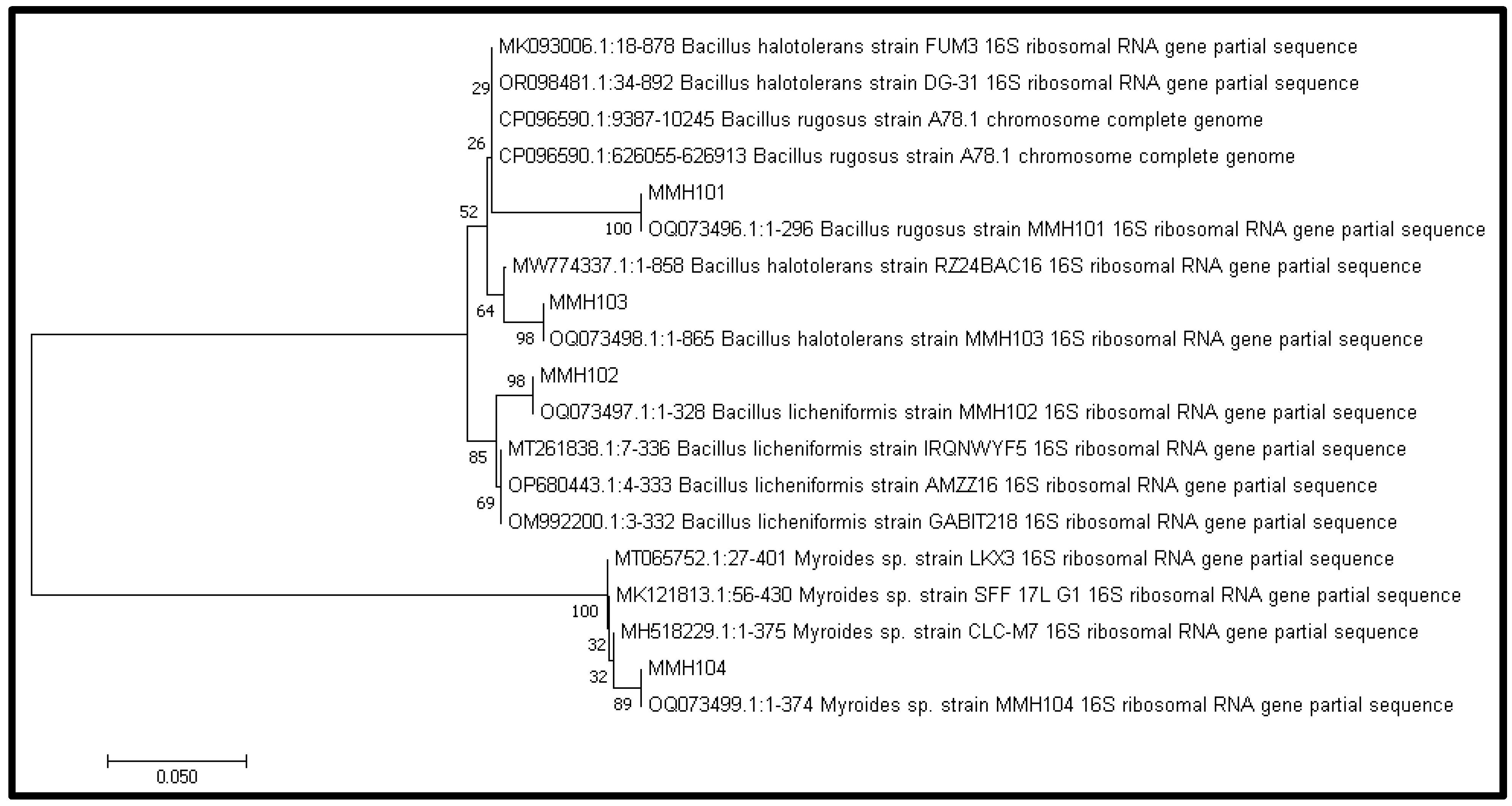 Sustainability 16 04605 g004