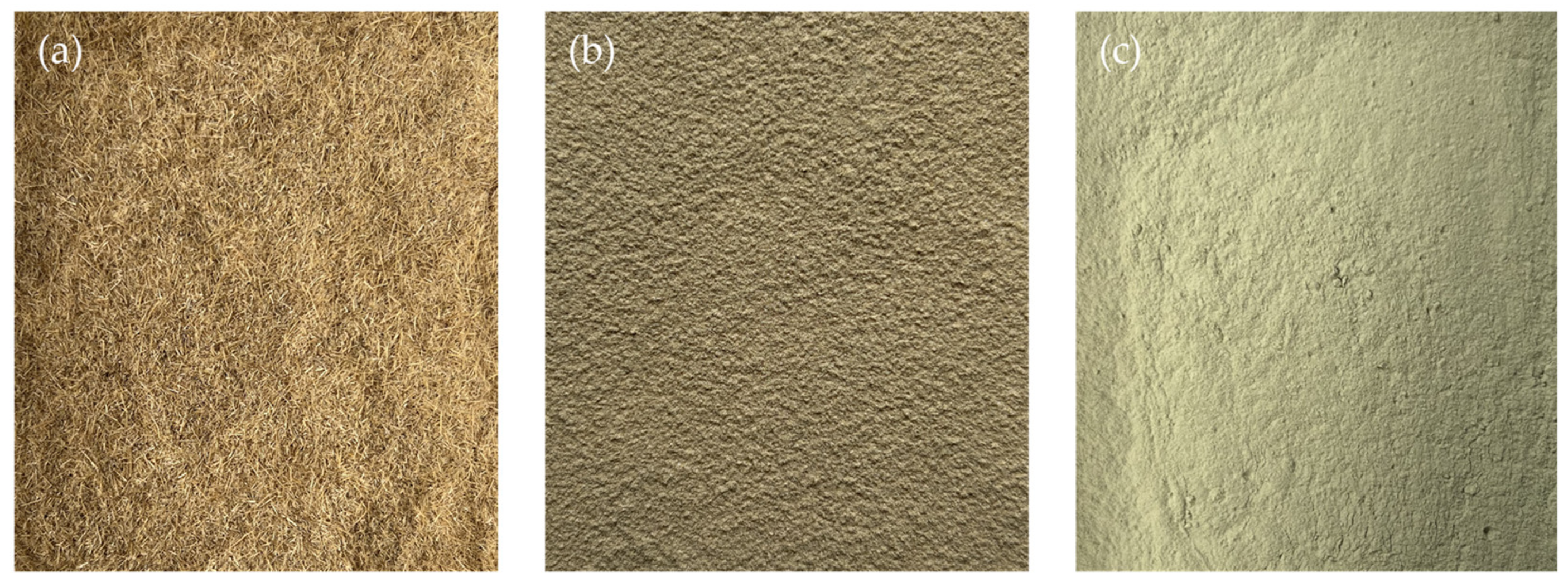 Sustainability 16 04619 g001