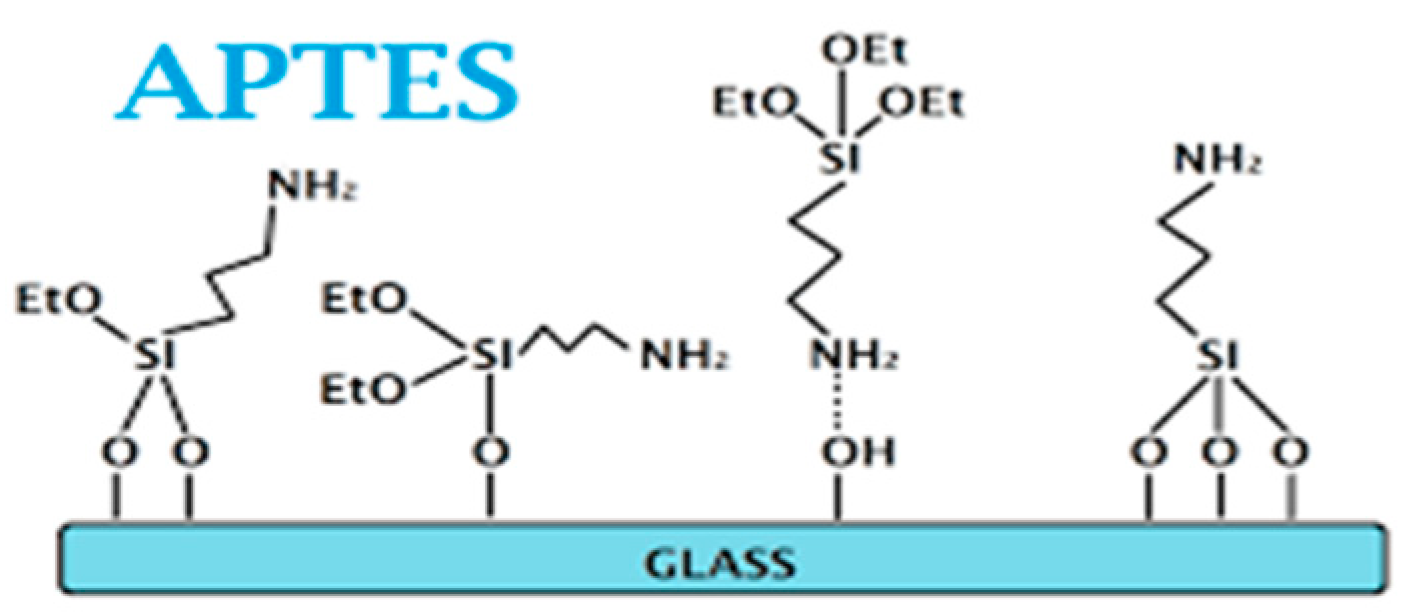 Sustainability 16 04632 g002