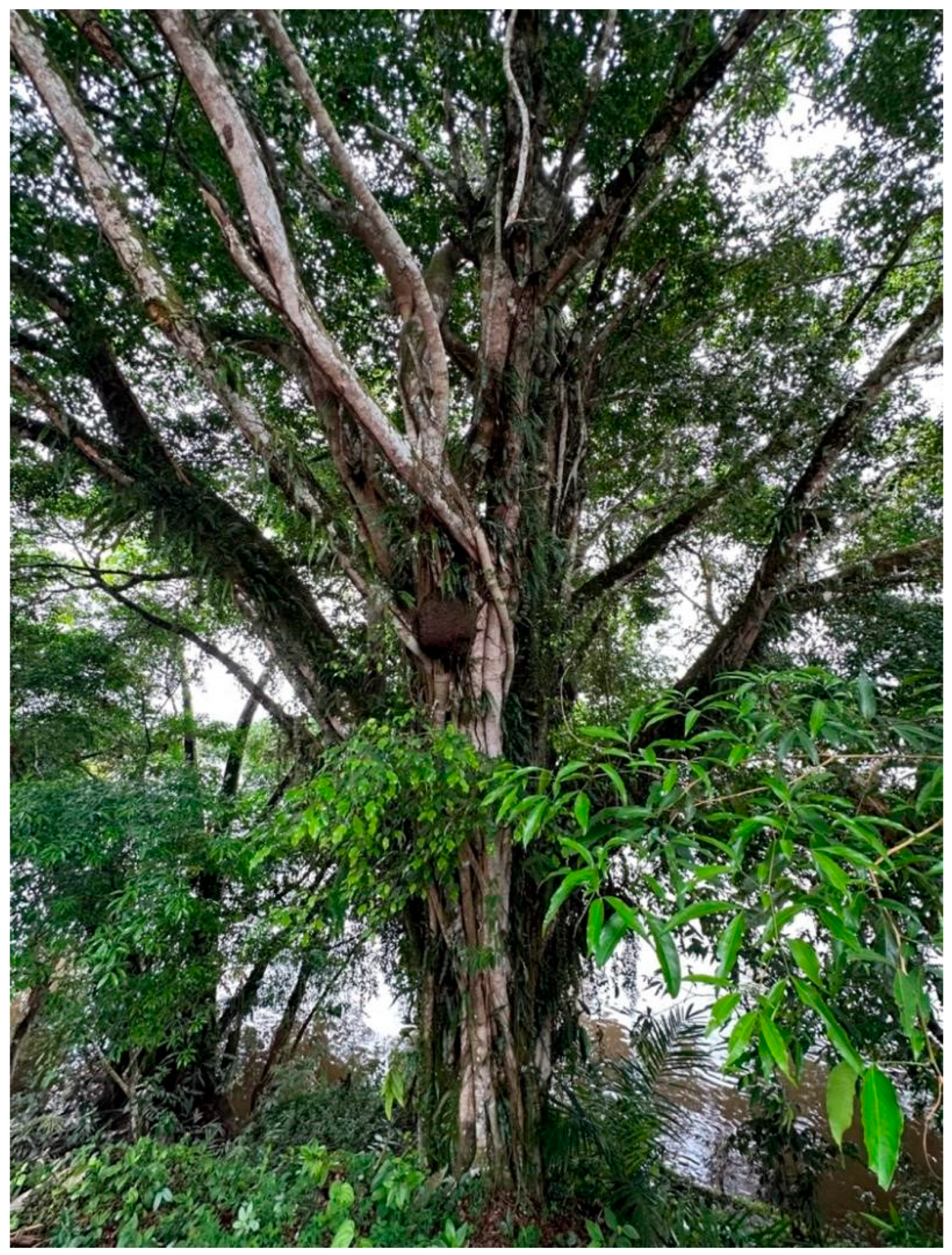 Sustainability 16 04664 g003