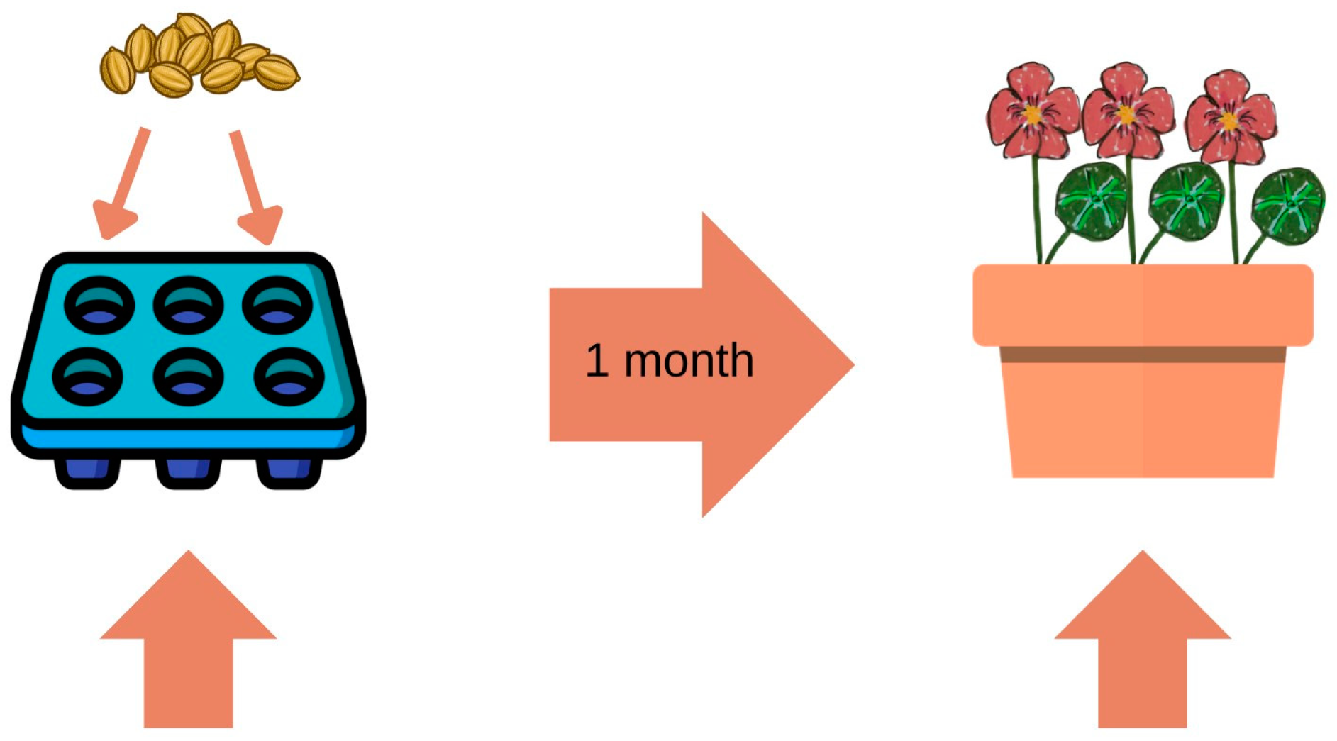 Sustainability 16 04672 g002