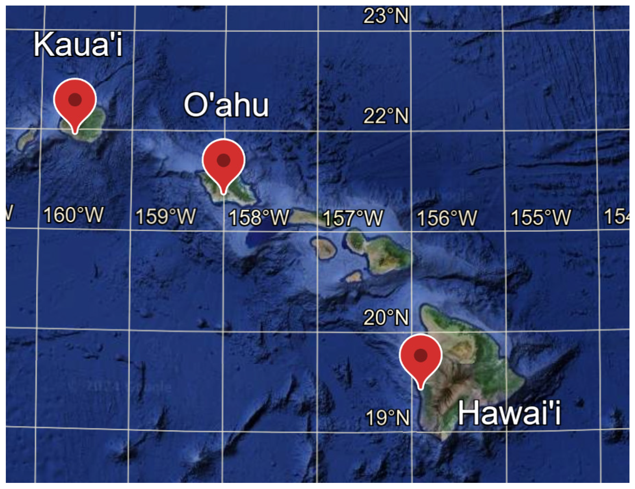 Sustainability 16 04680 g001