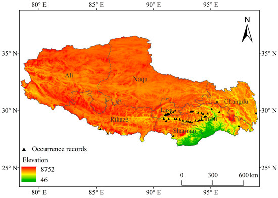 Predicting the Potential Risk Area of the Invasive Plant