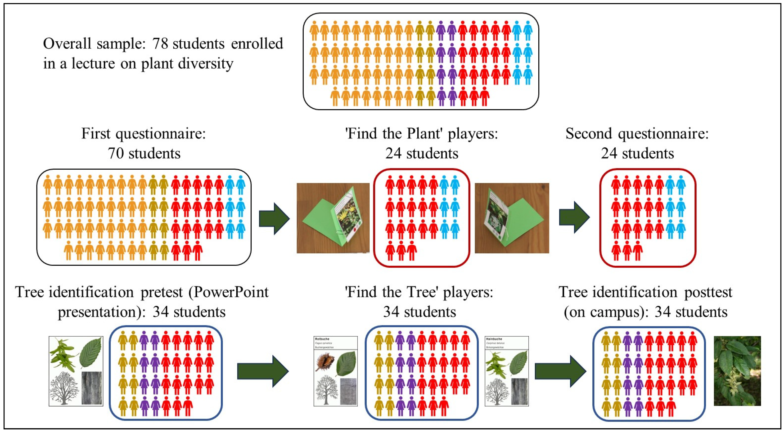 Sustainability 16 04702 g001