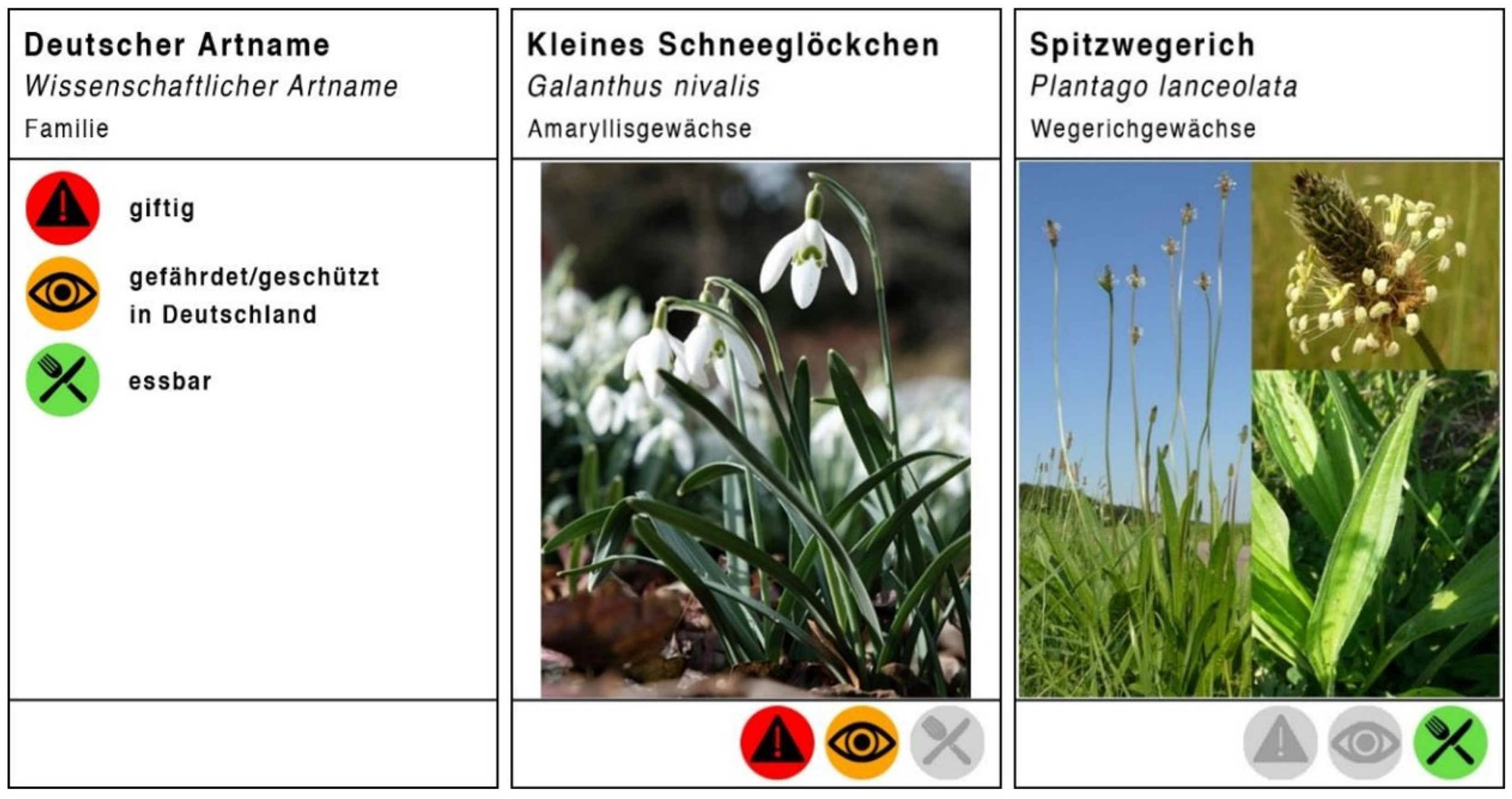 Sustainability 16 04702 g002