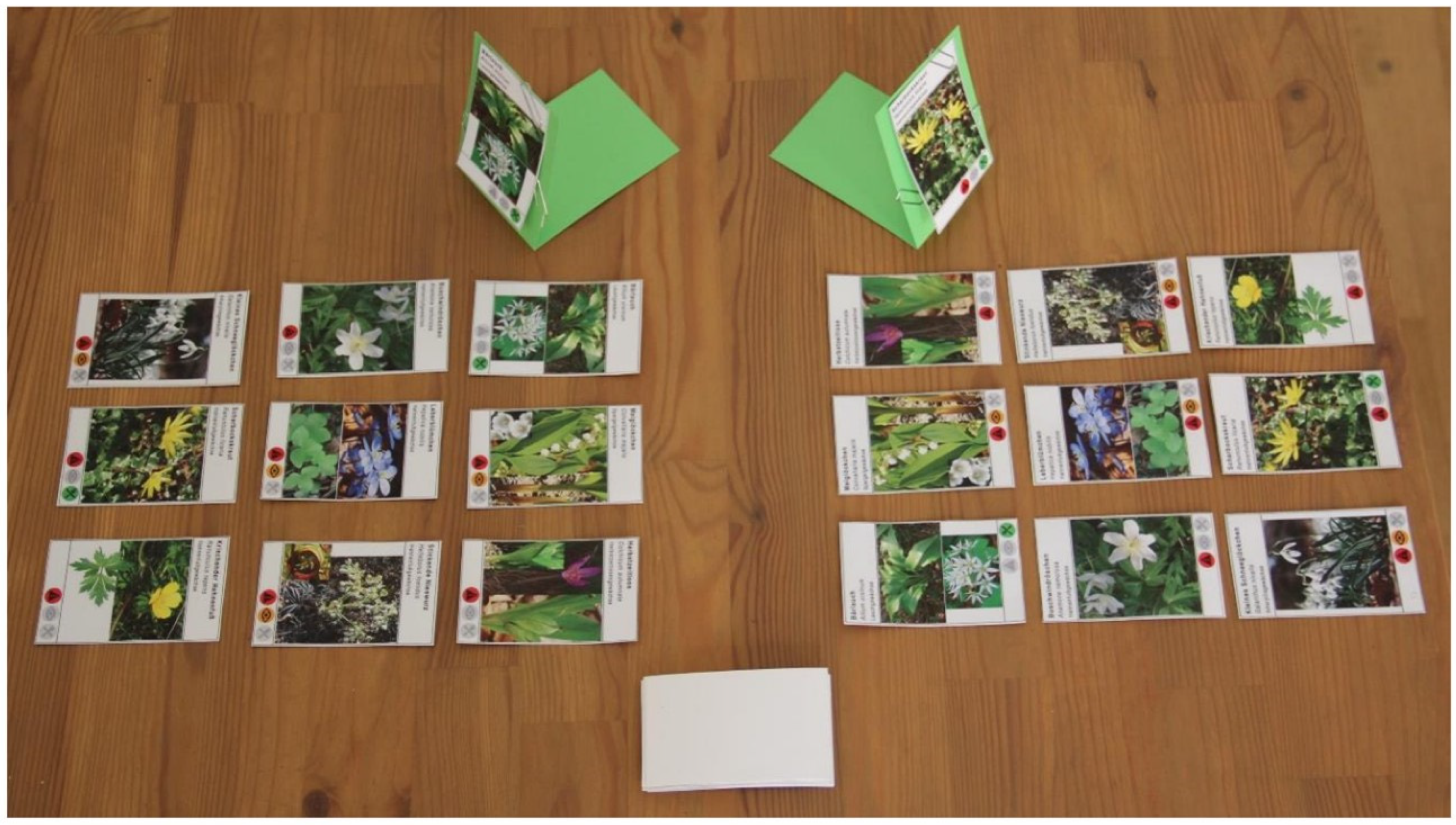 Sustainability 16 04702 g003