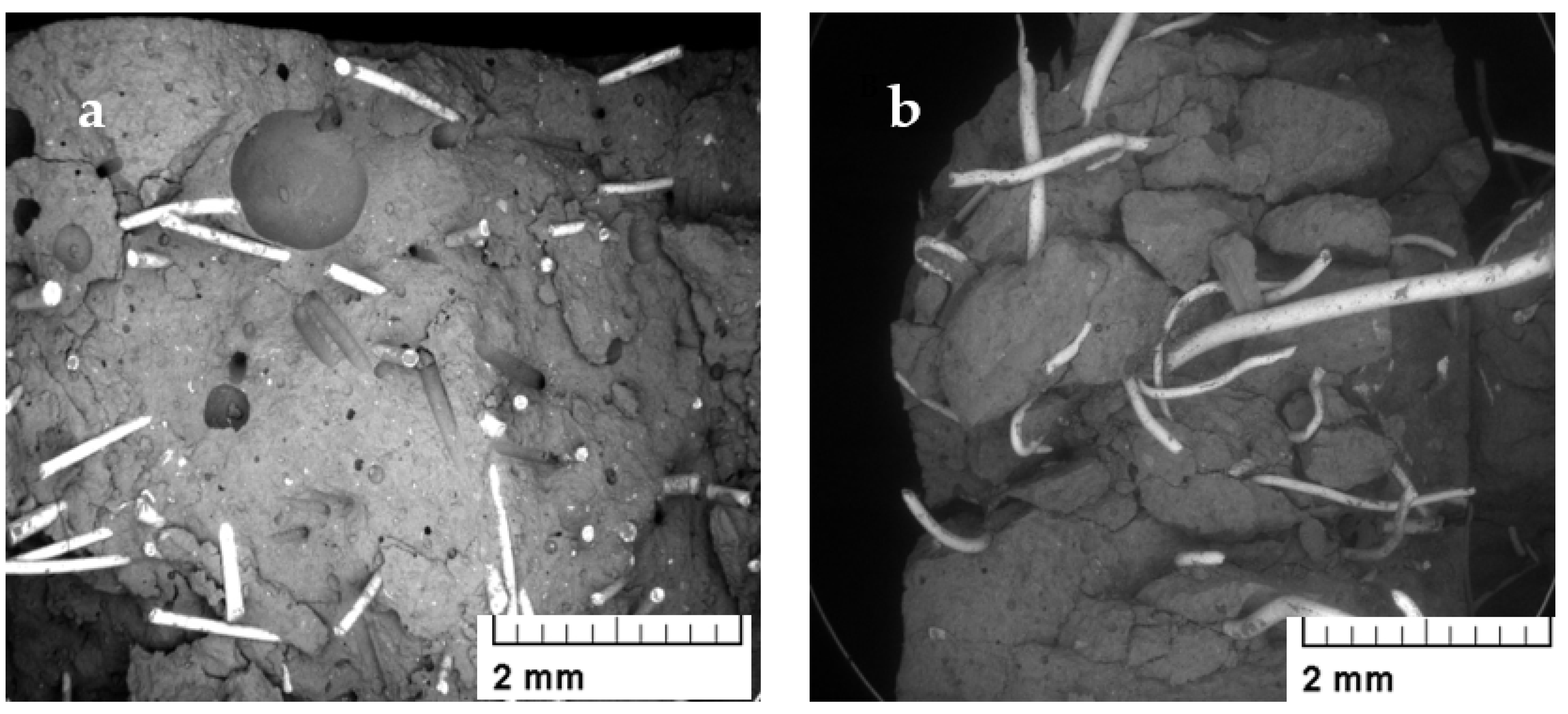 Sustainability 16 04714 g013