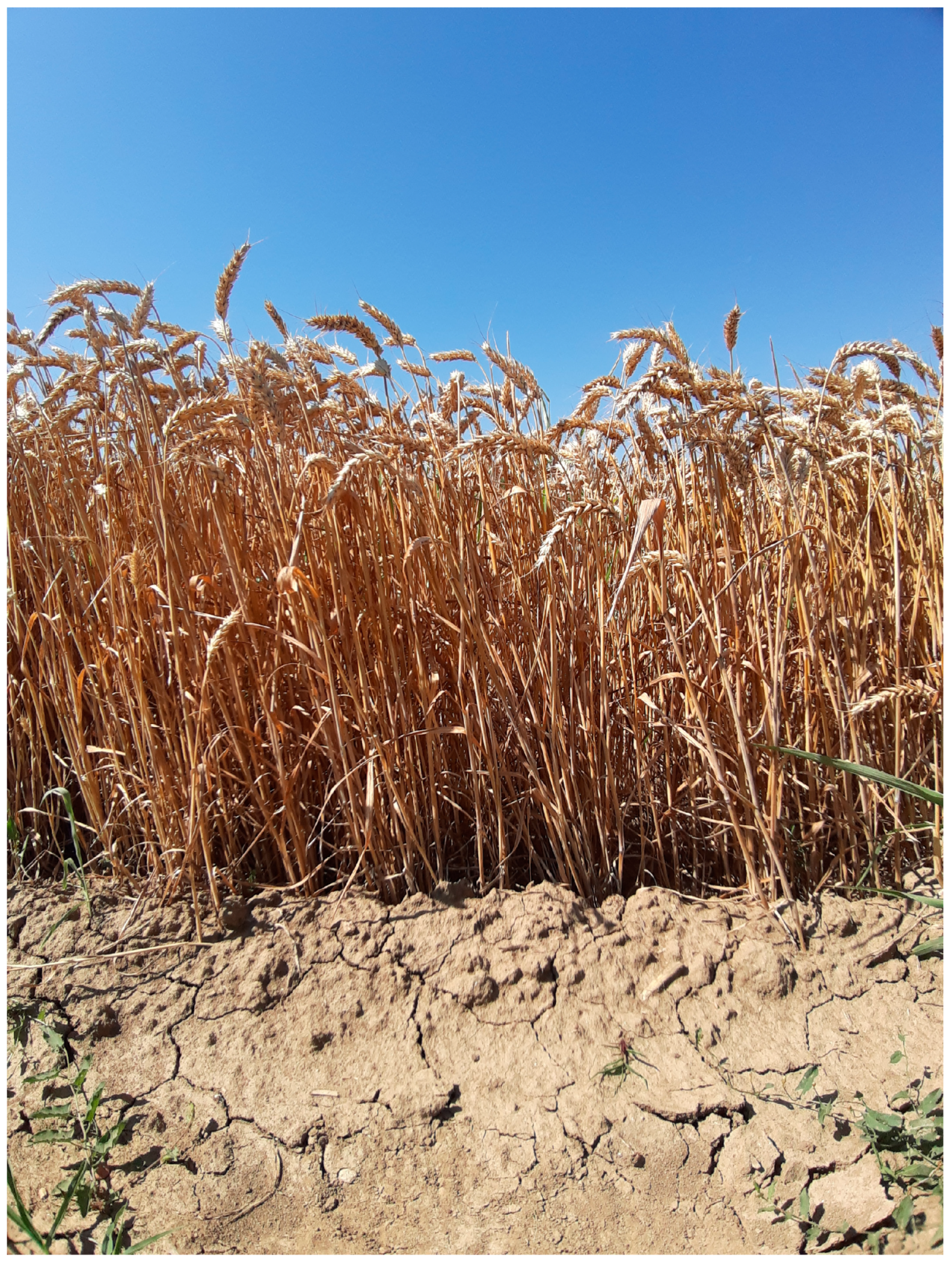 Sustainability 16 04739 g001