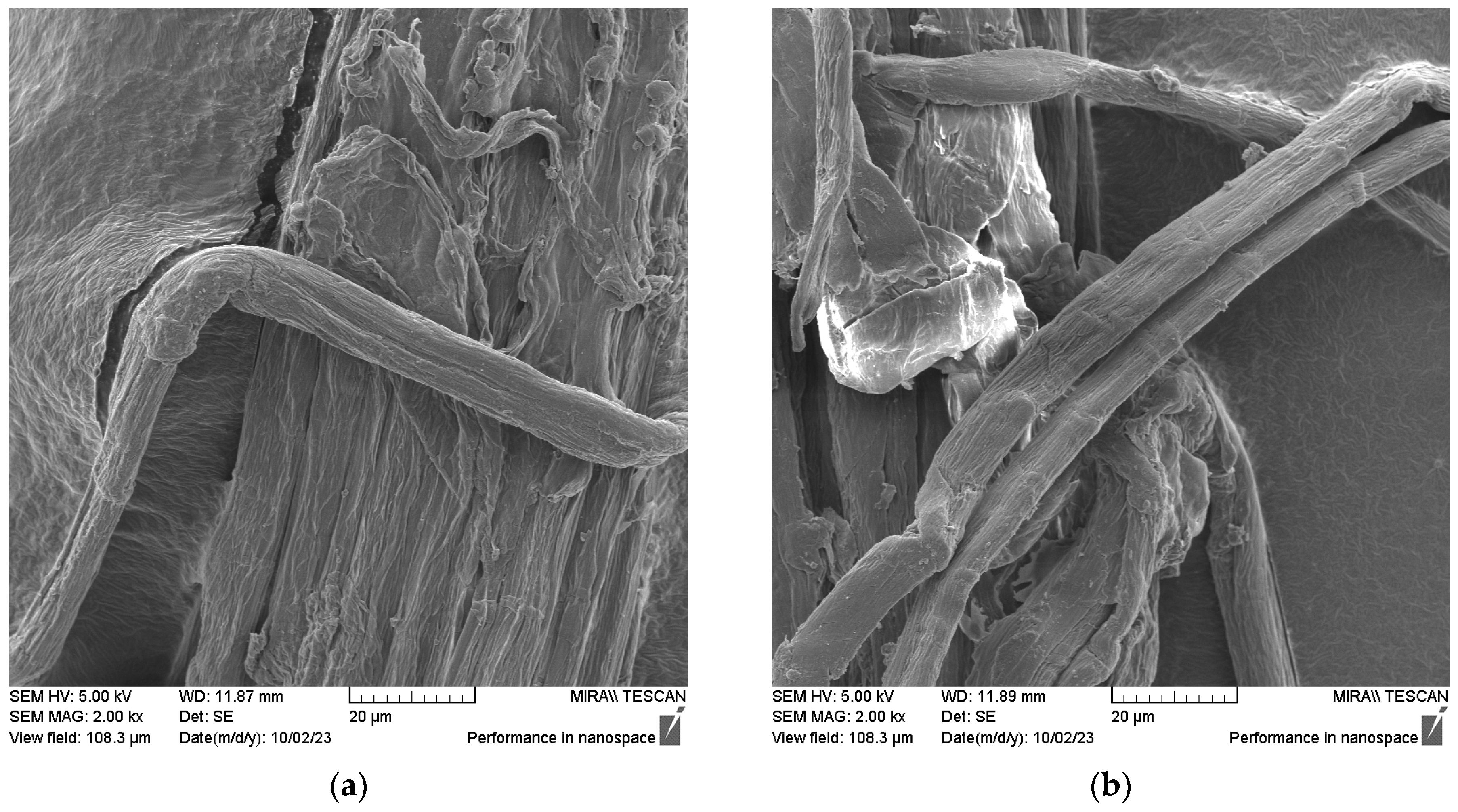 Sustainability 16 04739 g007