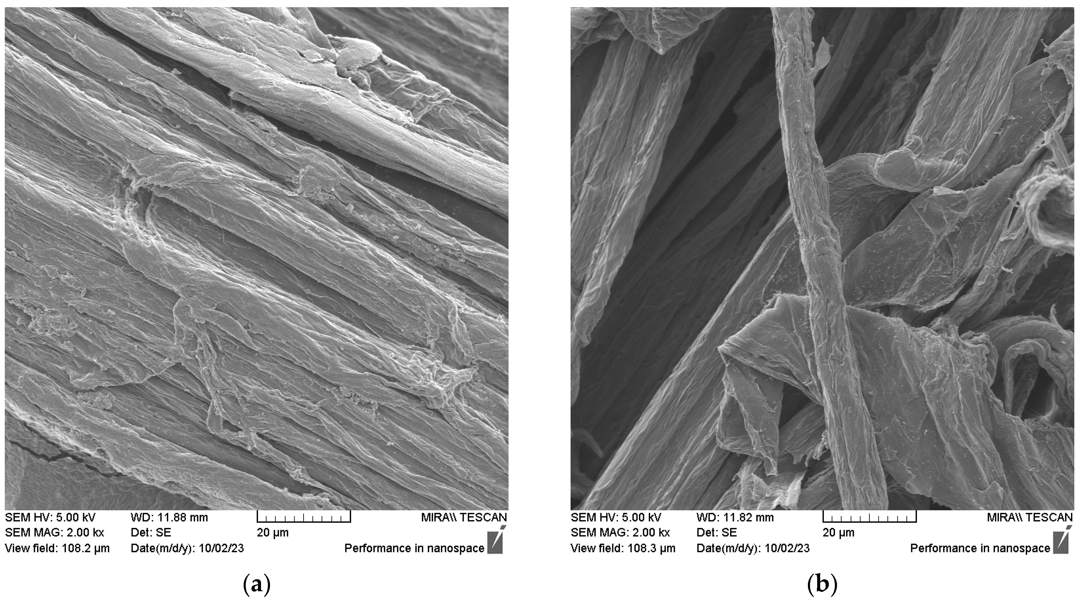 Sustainability 16 04739 g008