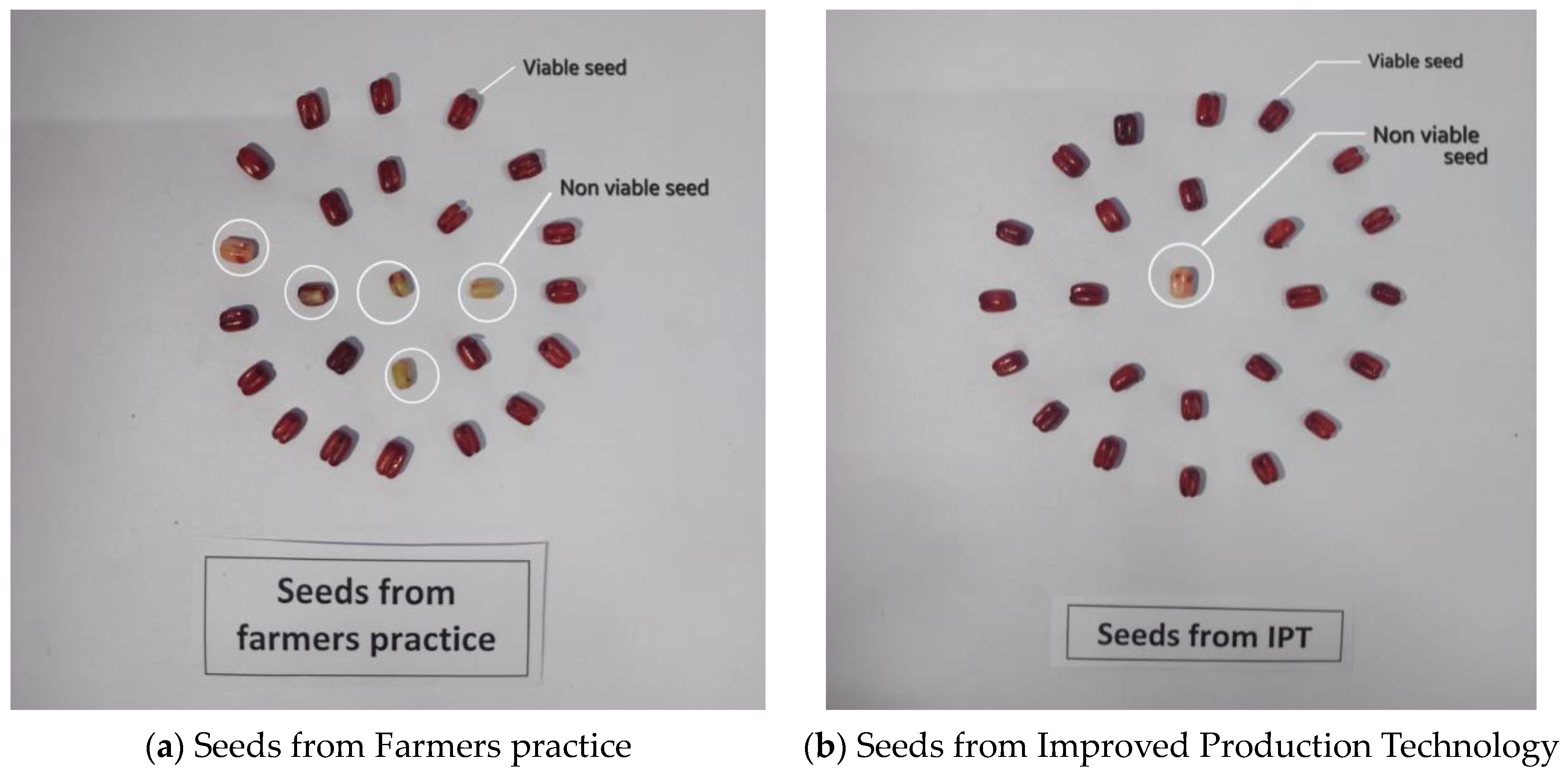 Sustainability 16 04750 g002