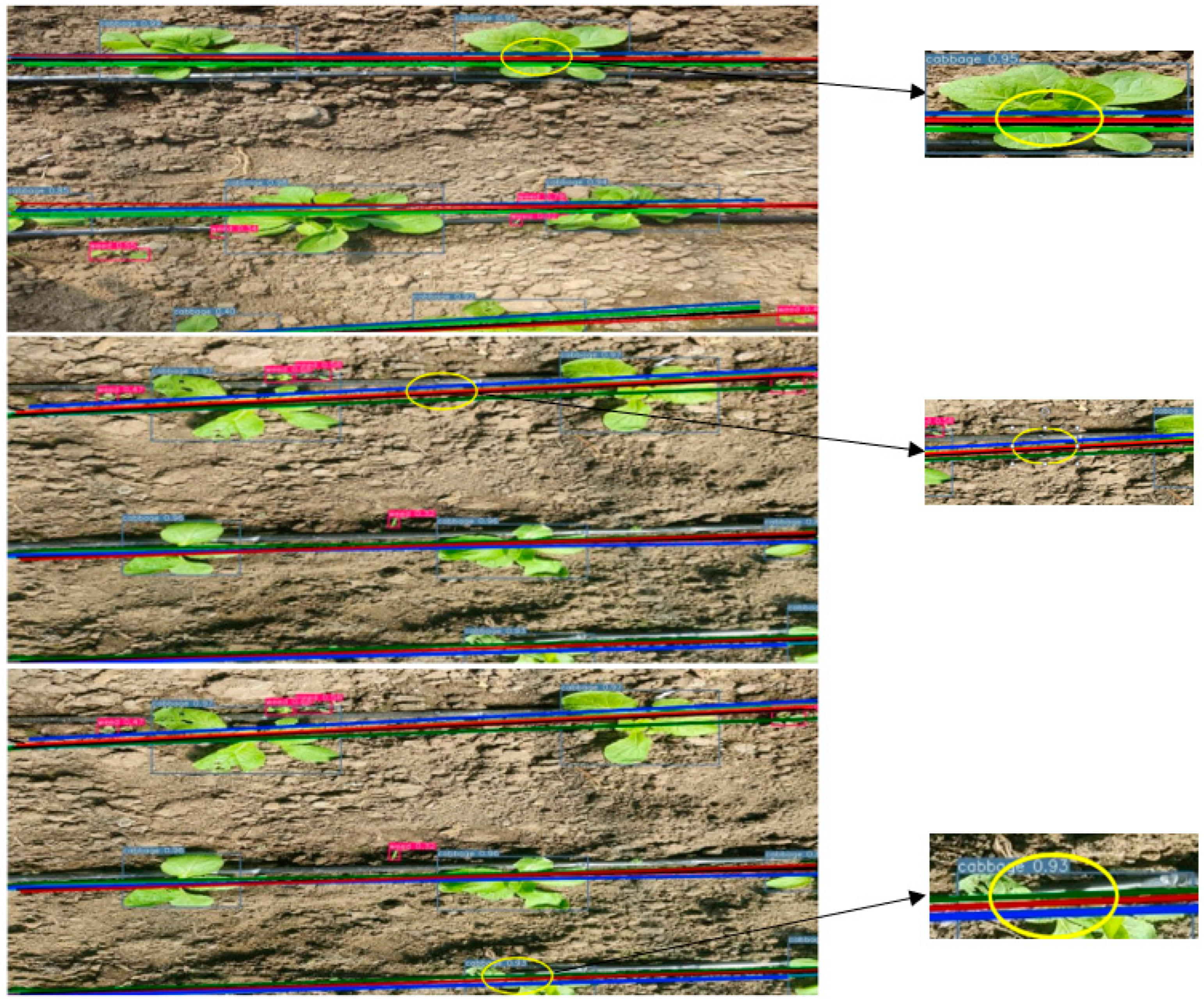 Sustainability 16 04759 g012