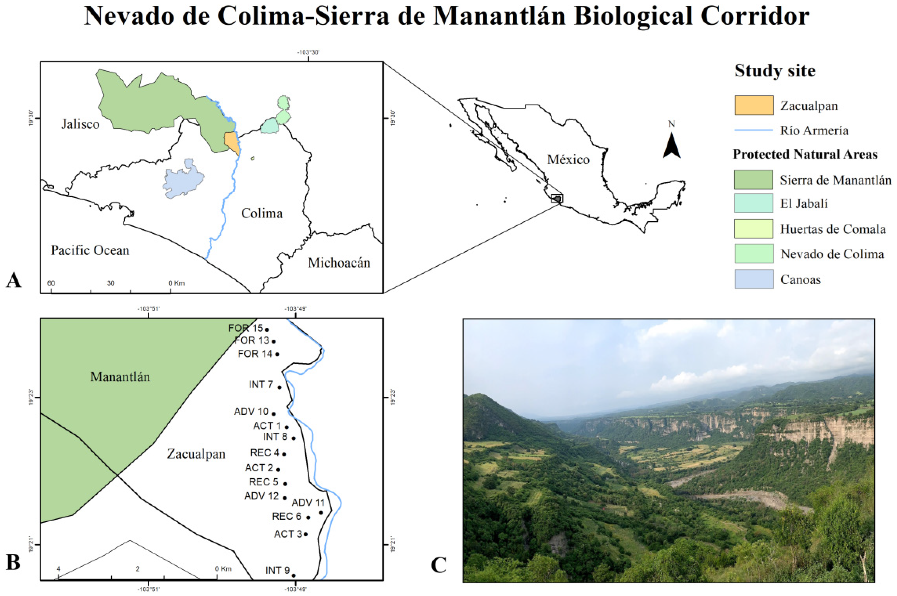 Sustainability 16 04760 g001