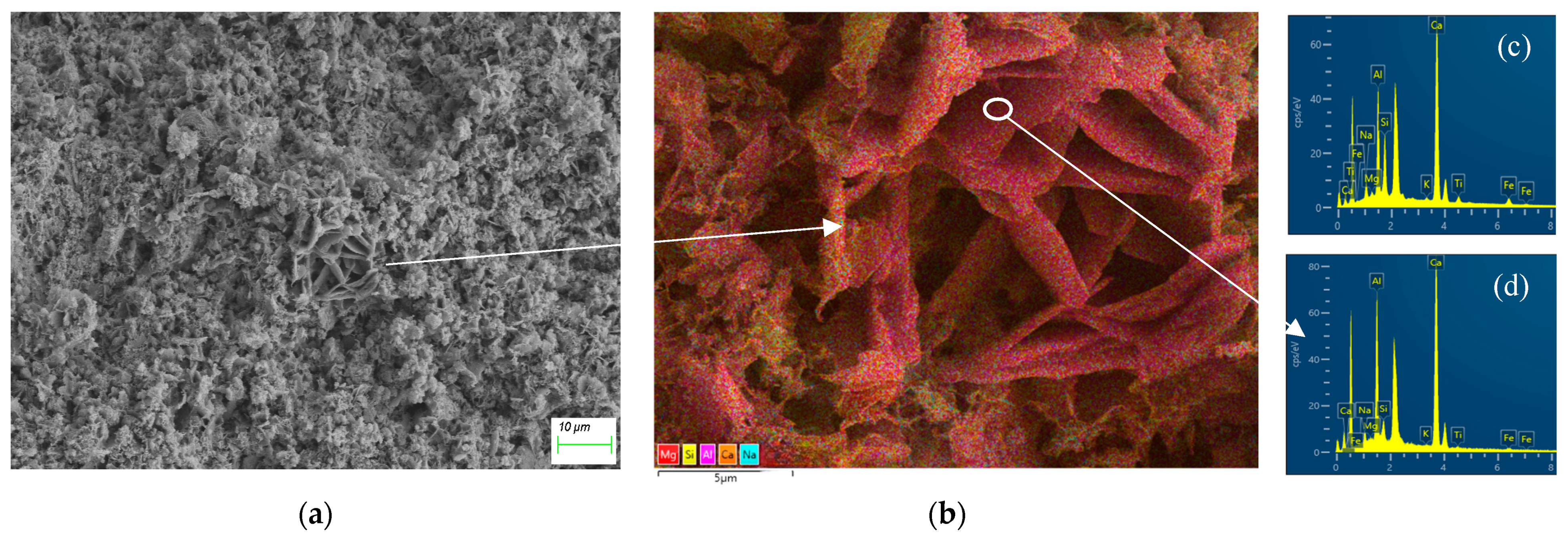 Sustainability 16 04770 g010a