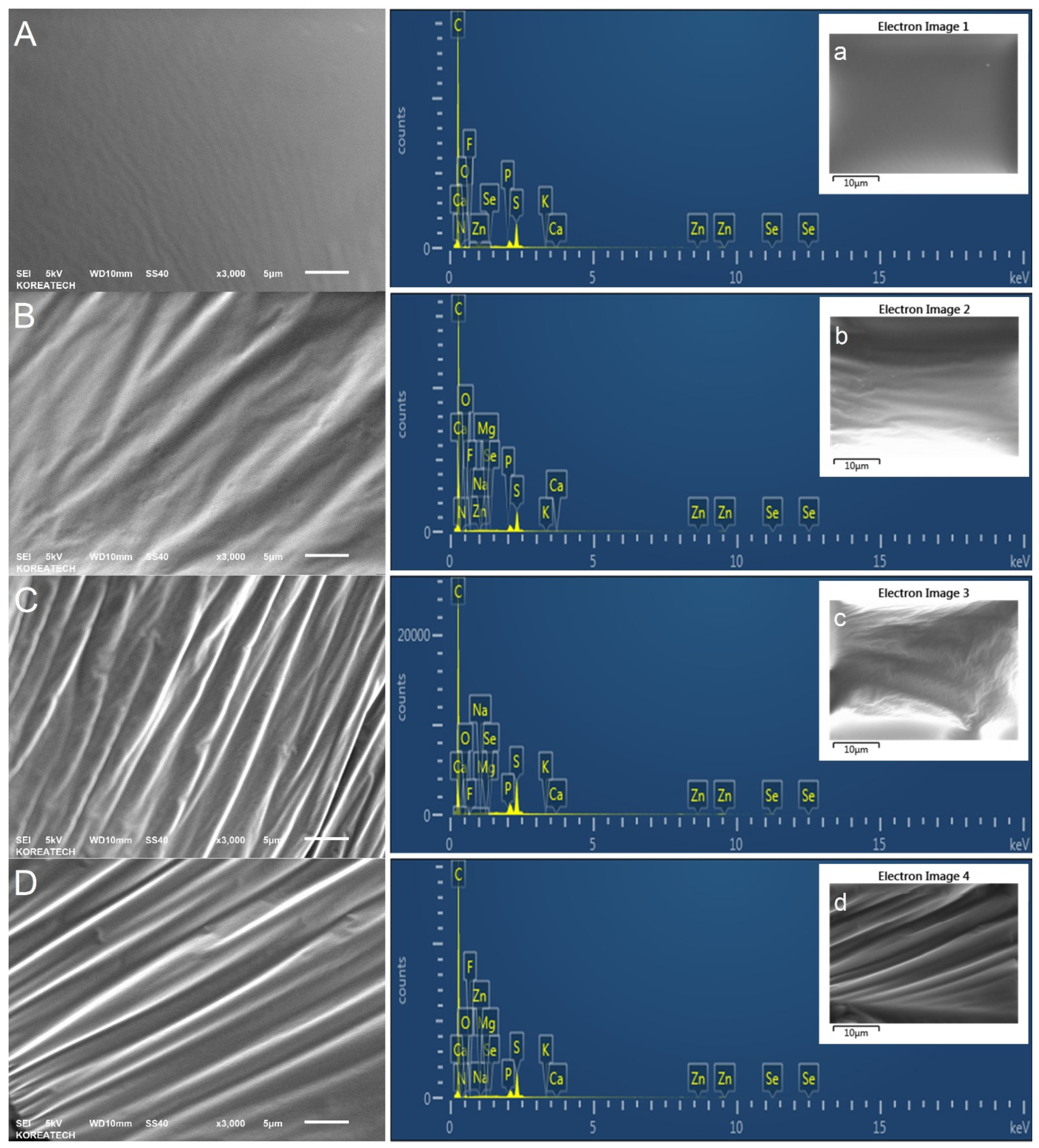 Sustainability 16 04774 g006