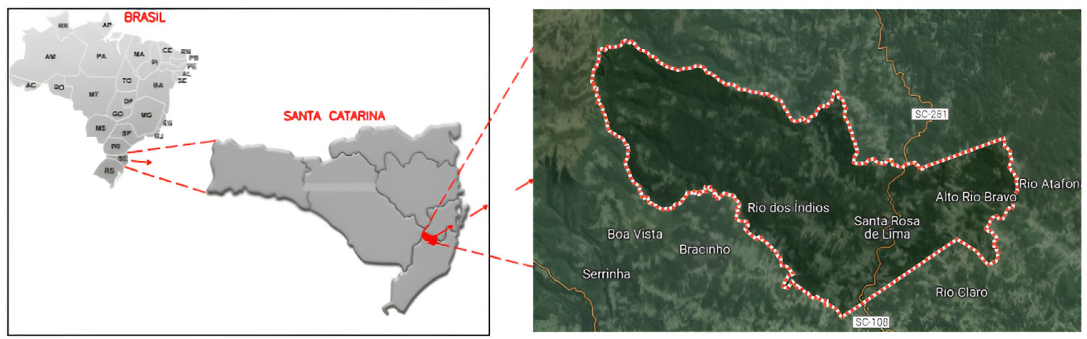 Sustainability 16 04788 g001