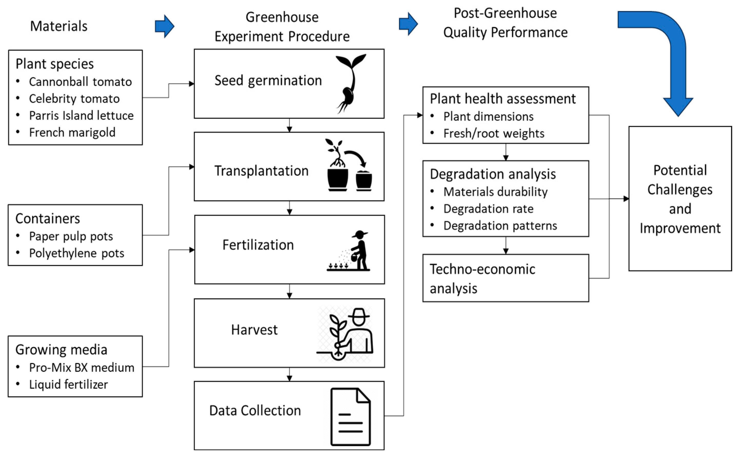 Sustainability 16 04800 g001