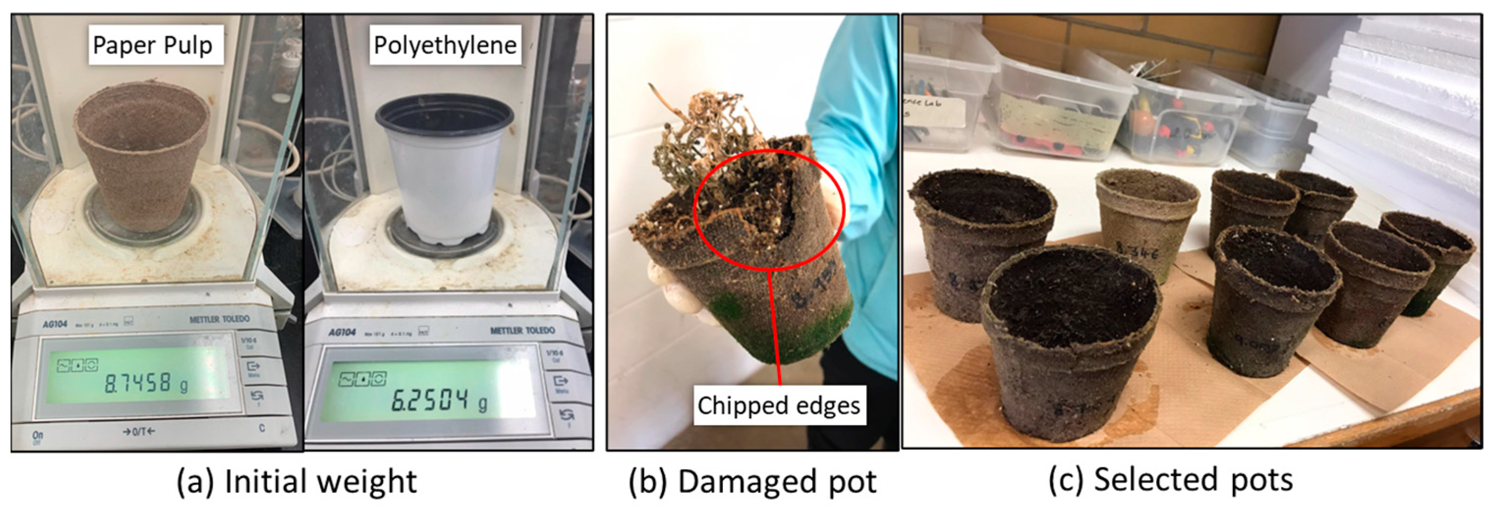 Sustainability 16 04800 g005