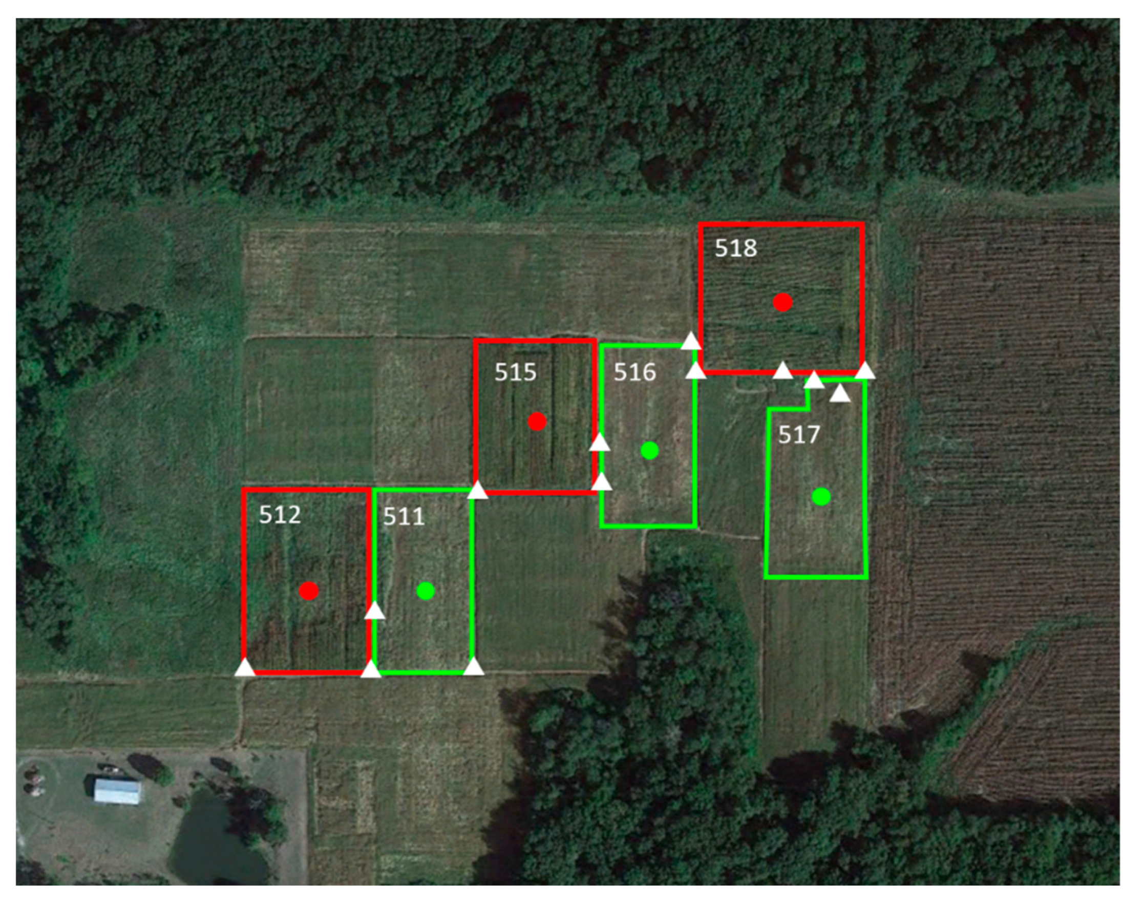 Sustainability 16 04807 g001