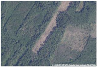 Sustainability 16 04825 i006