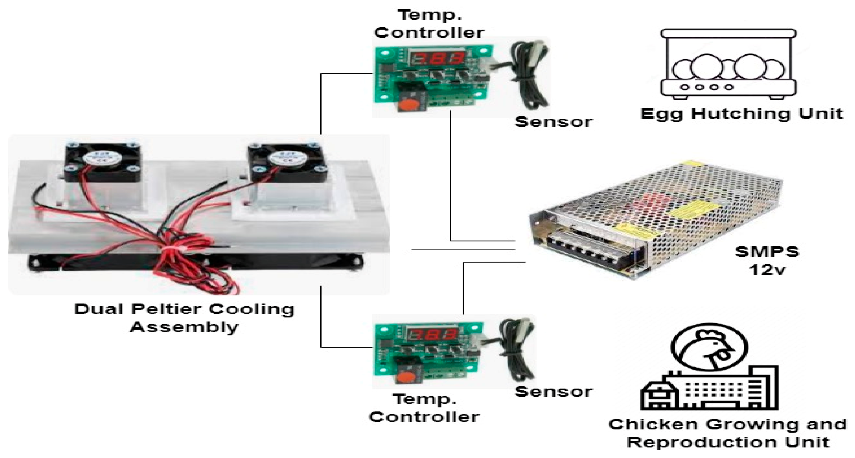 Sustainability 16 04832 g006