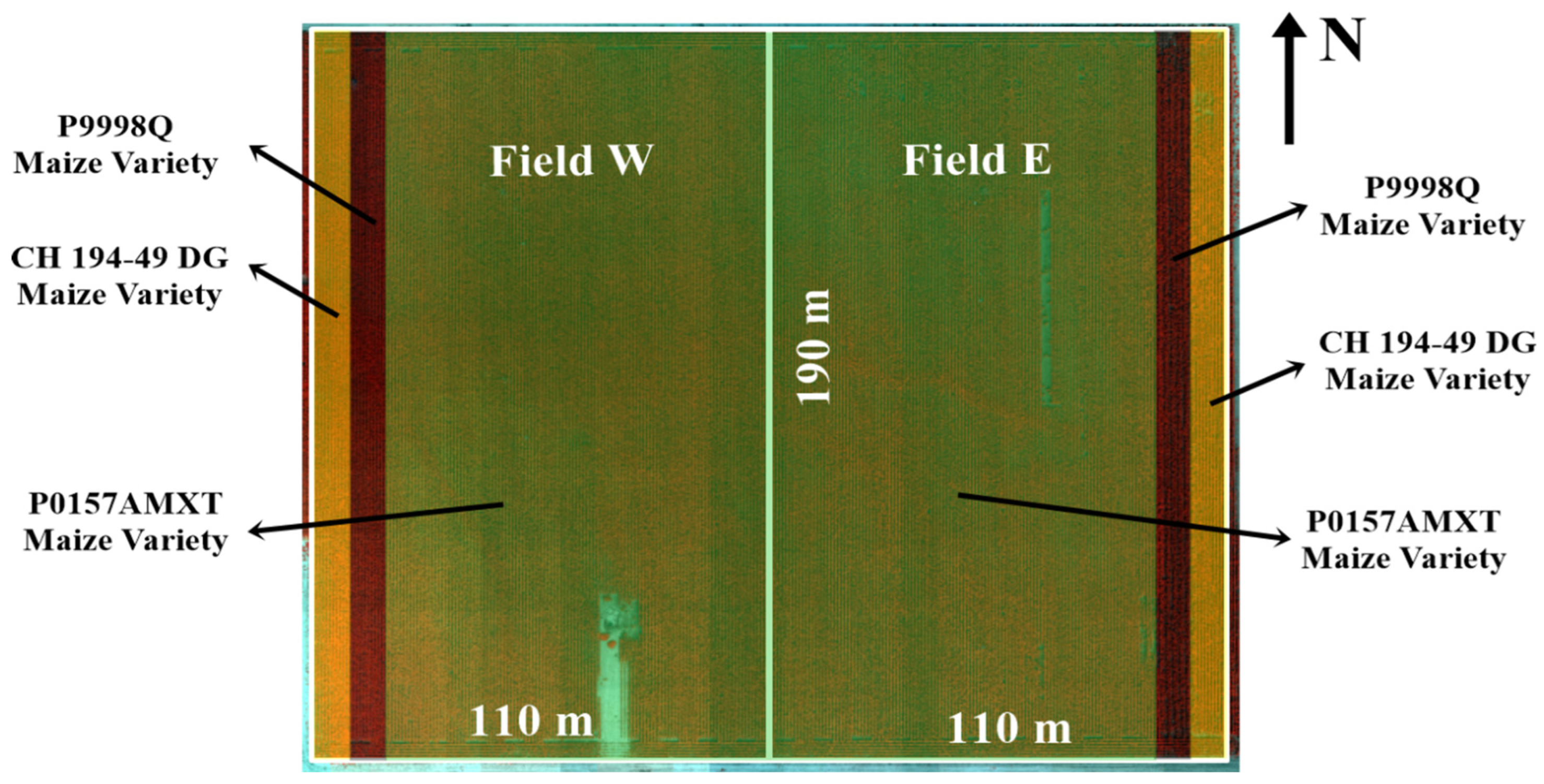 Sustainability 16 04850 g002