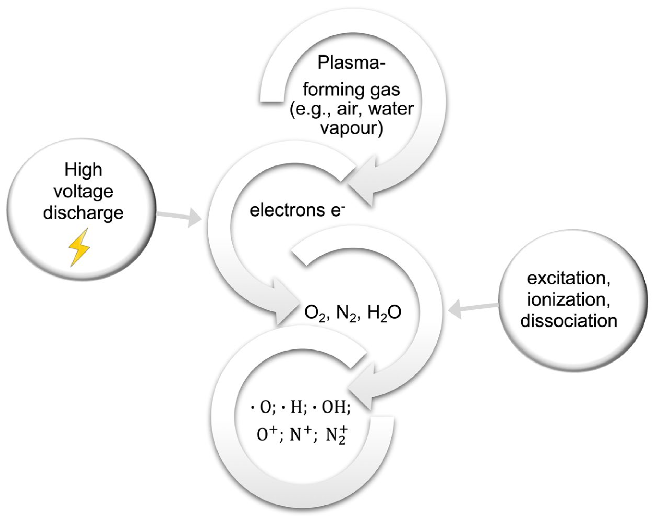 Sustainability 16 04855 g002