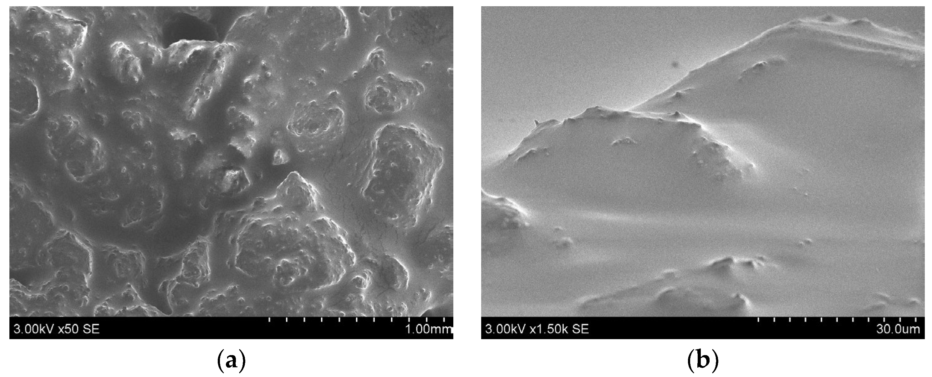 Sustainability 16 04855 g003a