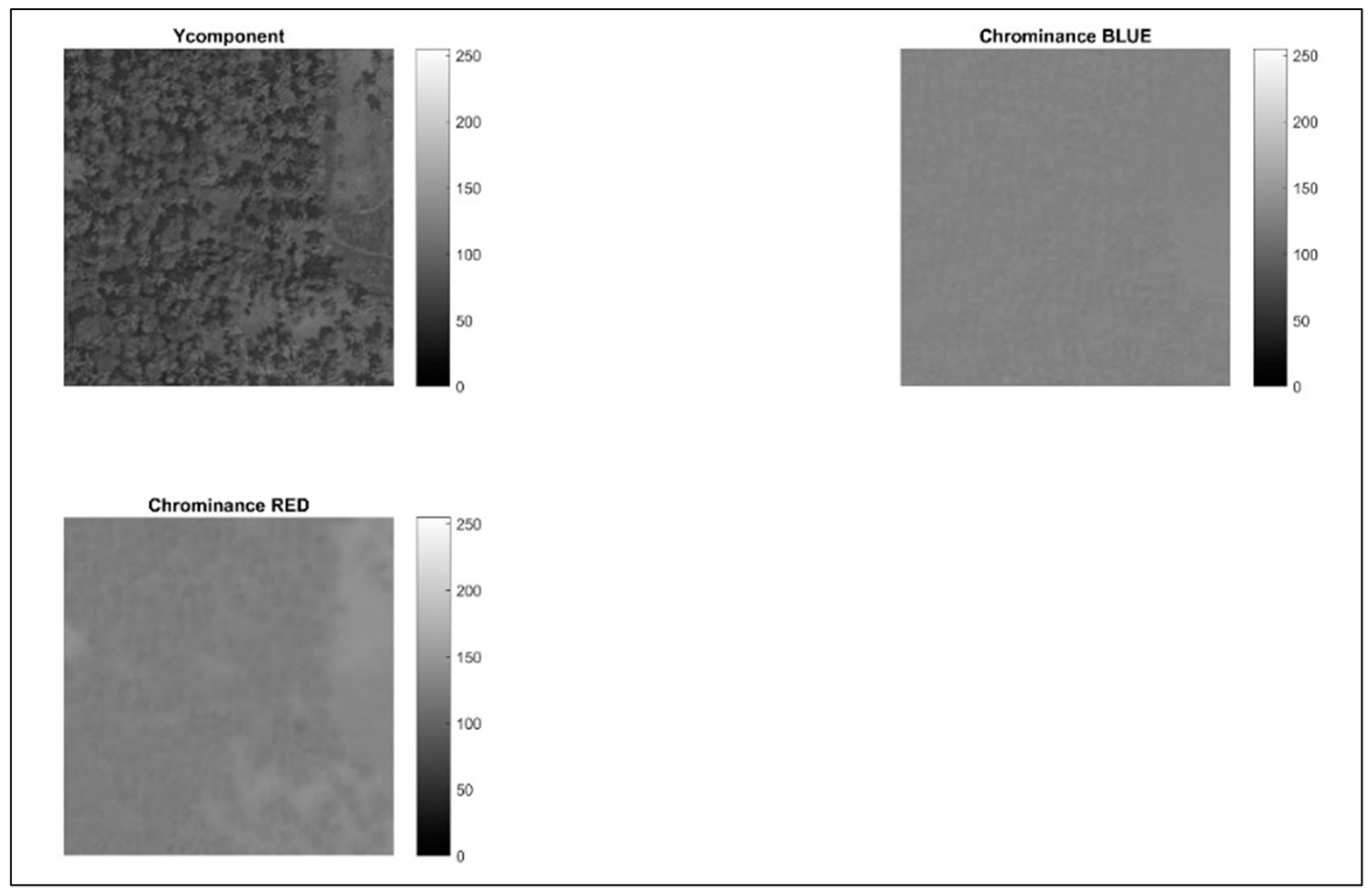 Sustainability 16 04864 g003