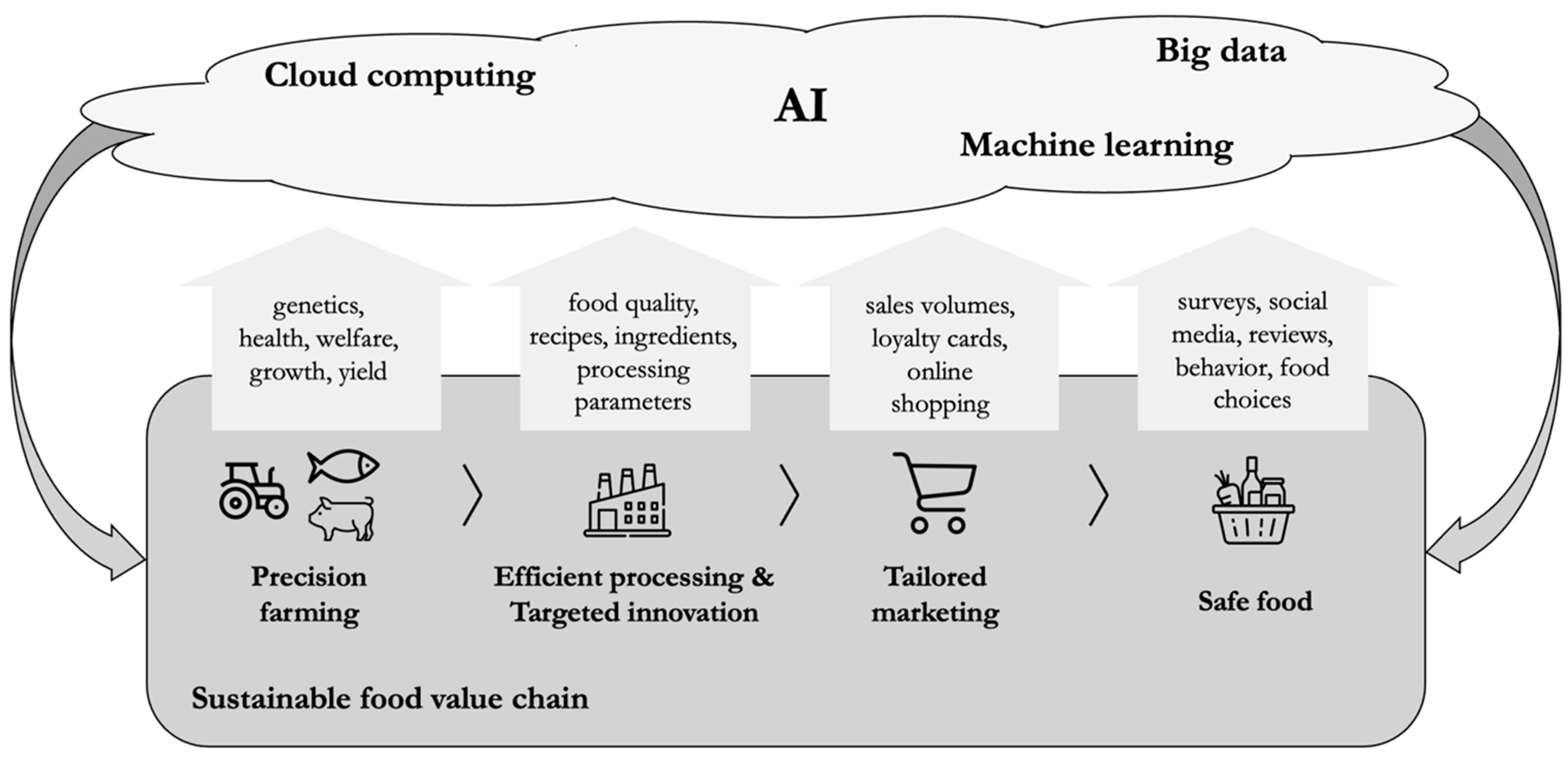 Sustainability 16 04879 g001