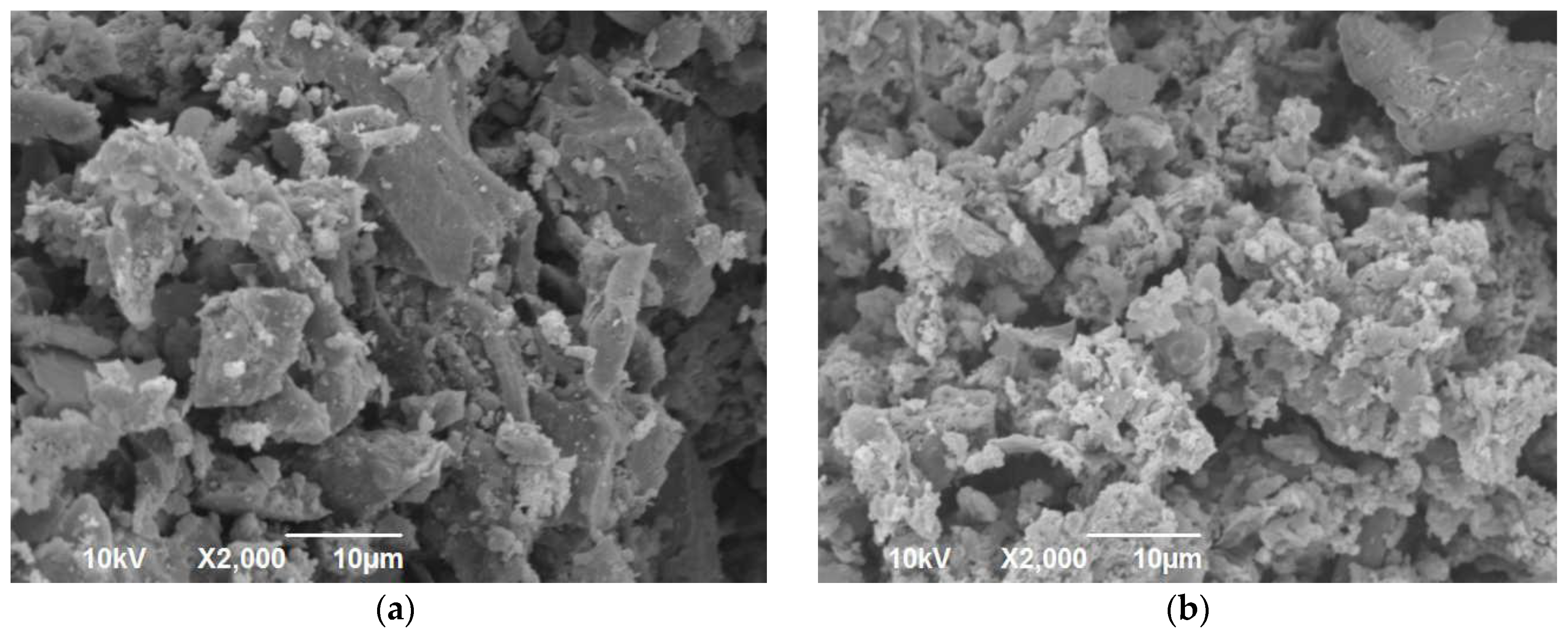 Sustainability 16 04890 g002a