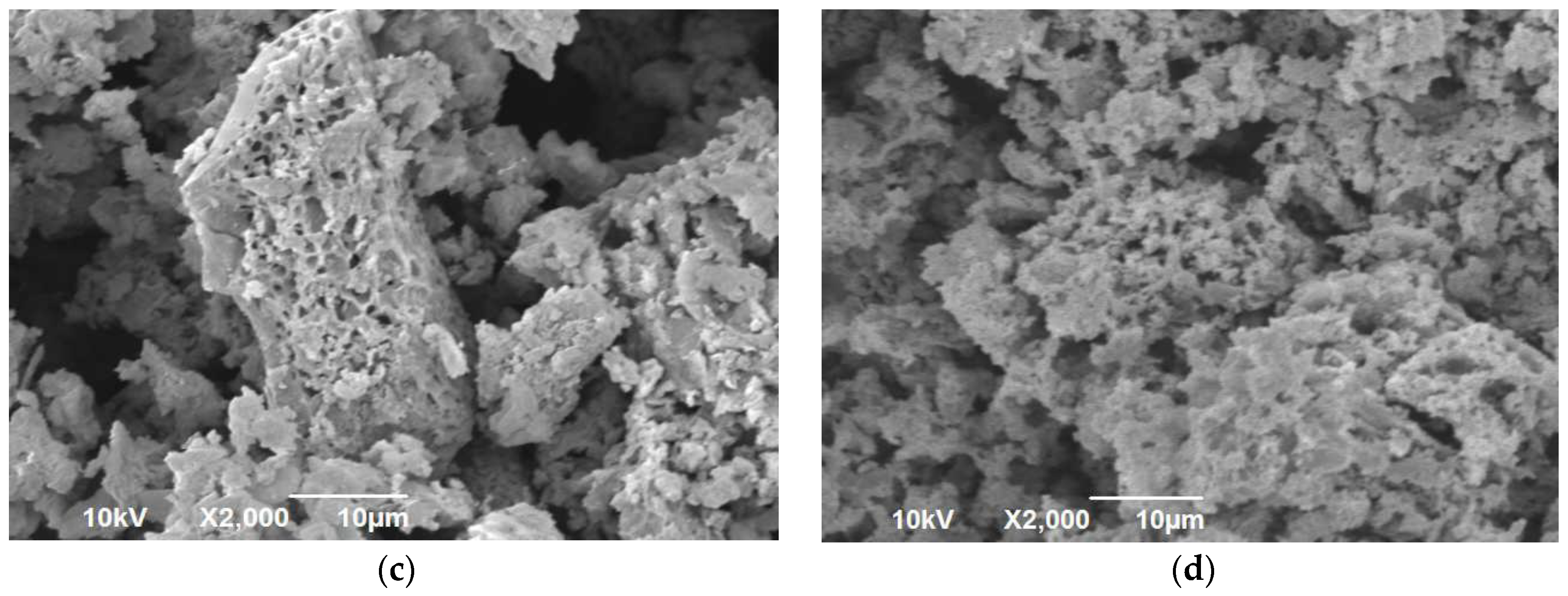 Sustainability 16 04890 g002b