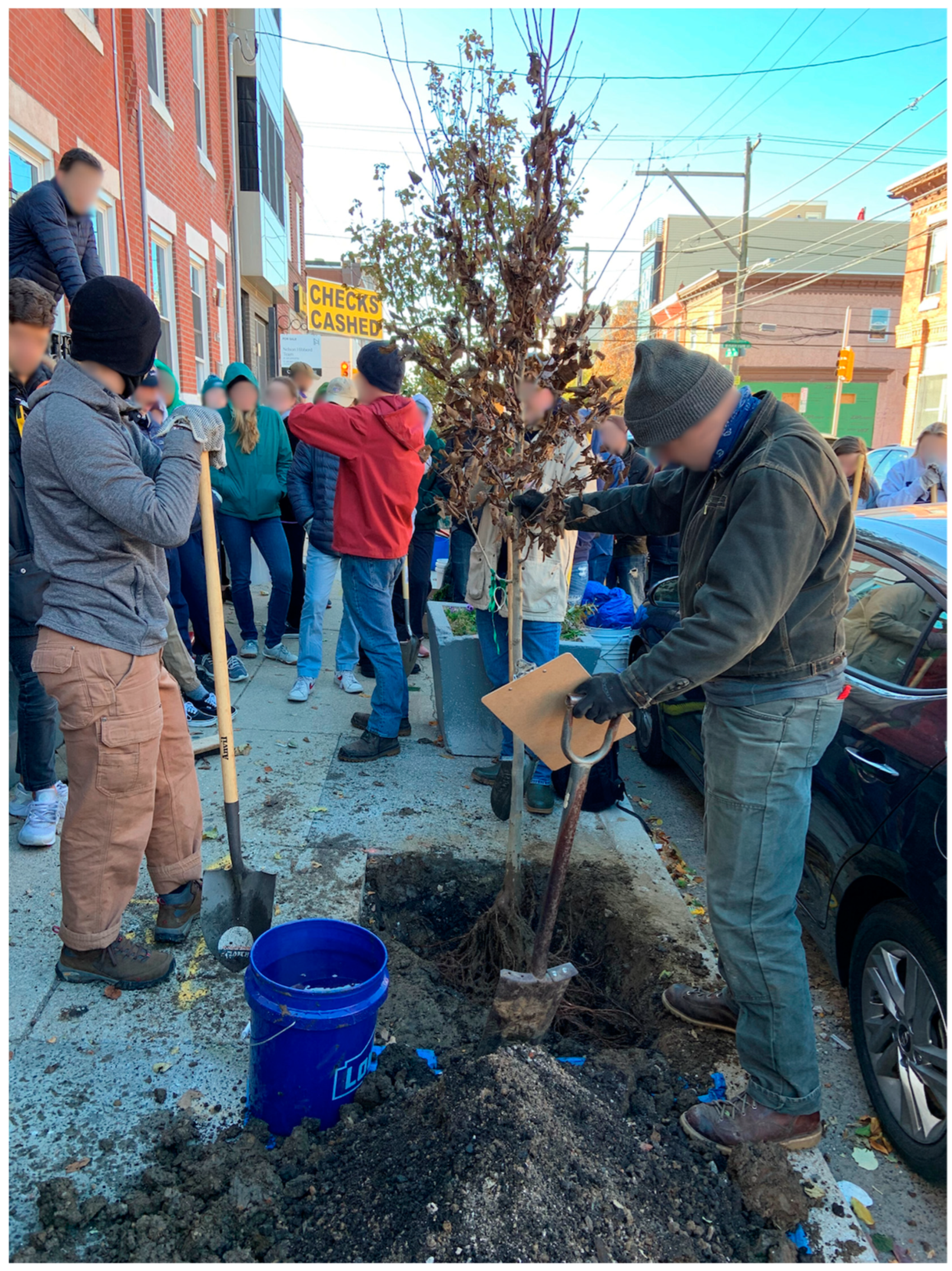 Sustainability 16 04915 g009