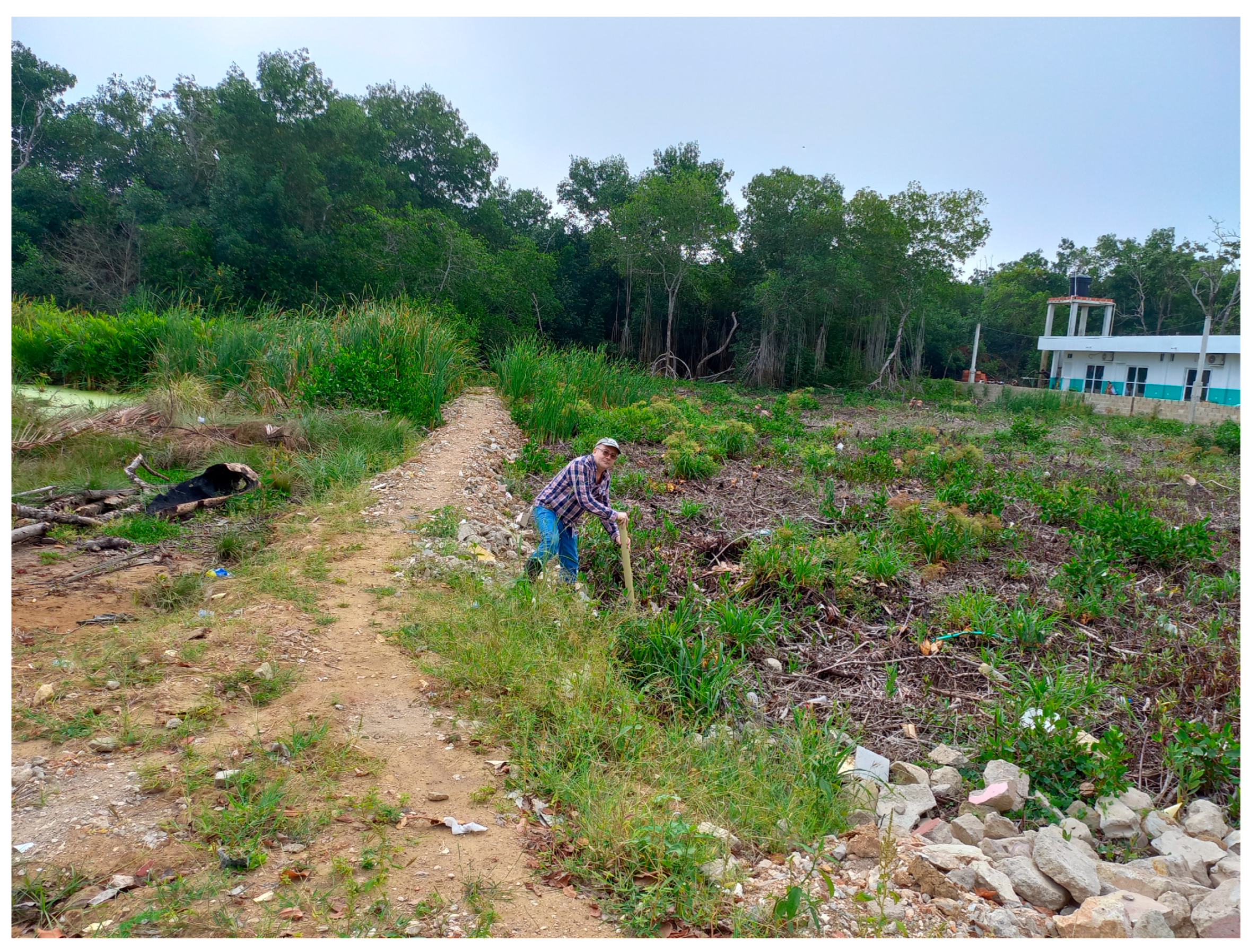 Sustainability 16 04966 g007