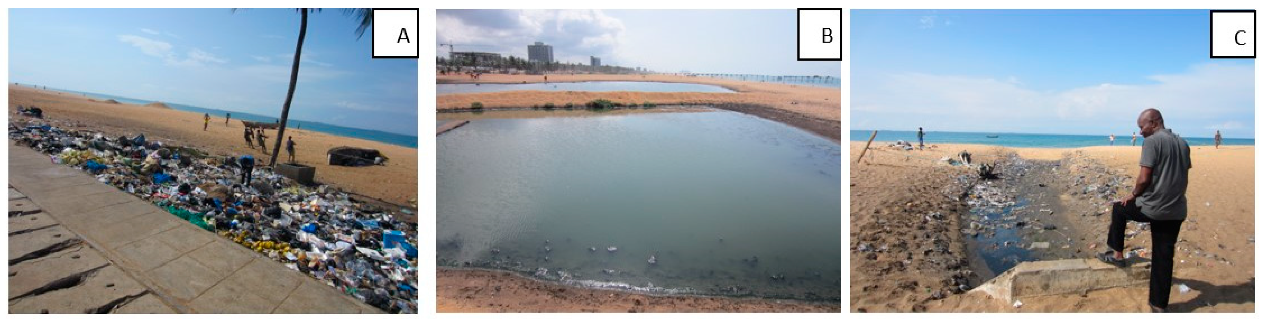 Sustainability 16 04968 g008