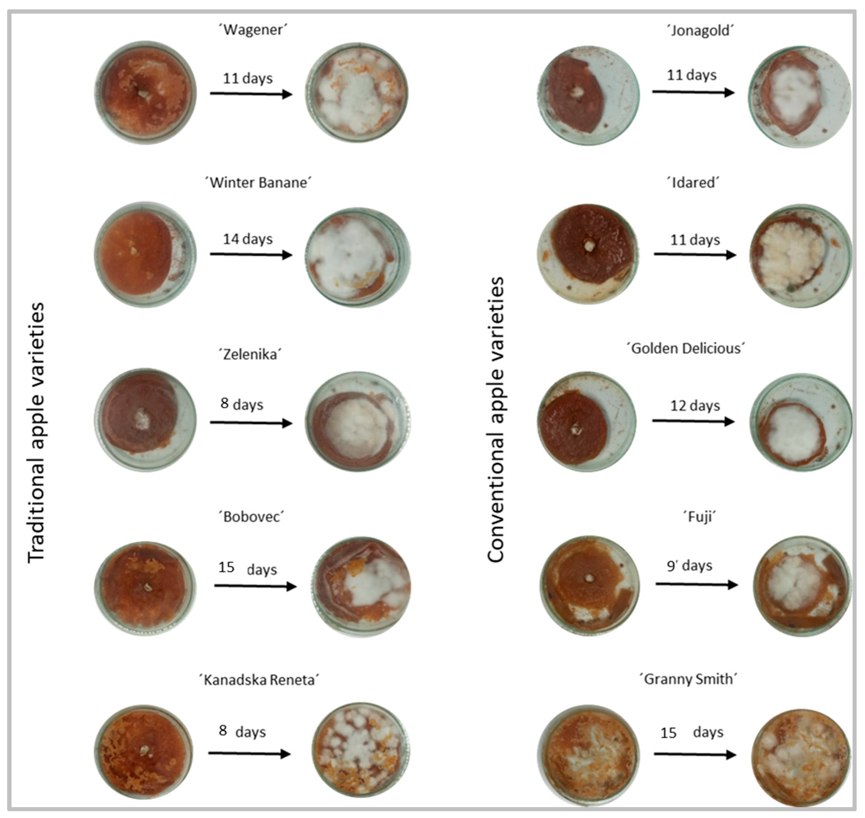 Sustainability 16 05019 g002
